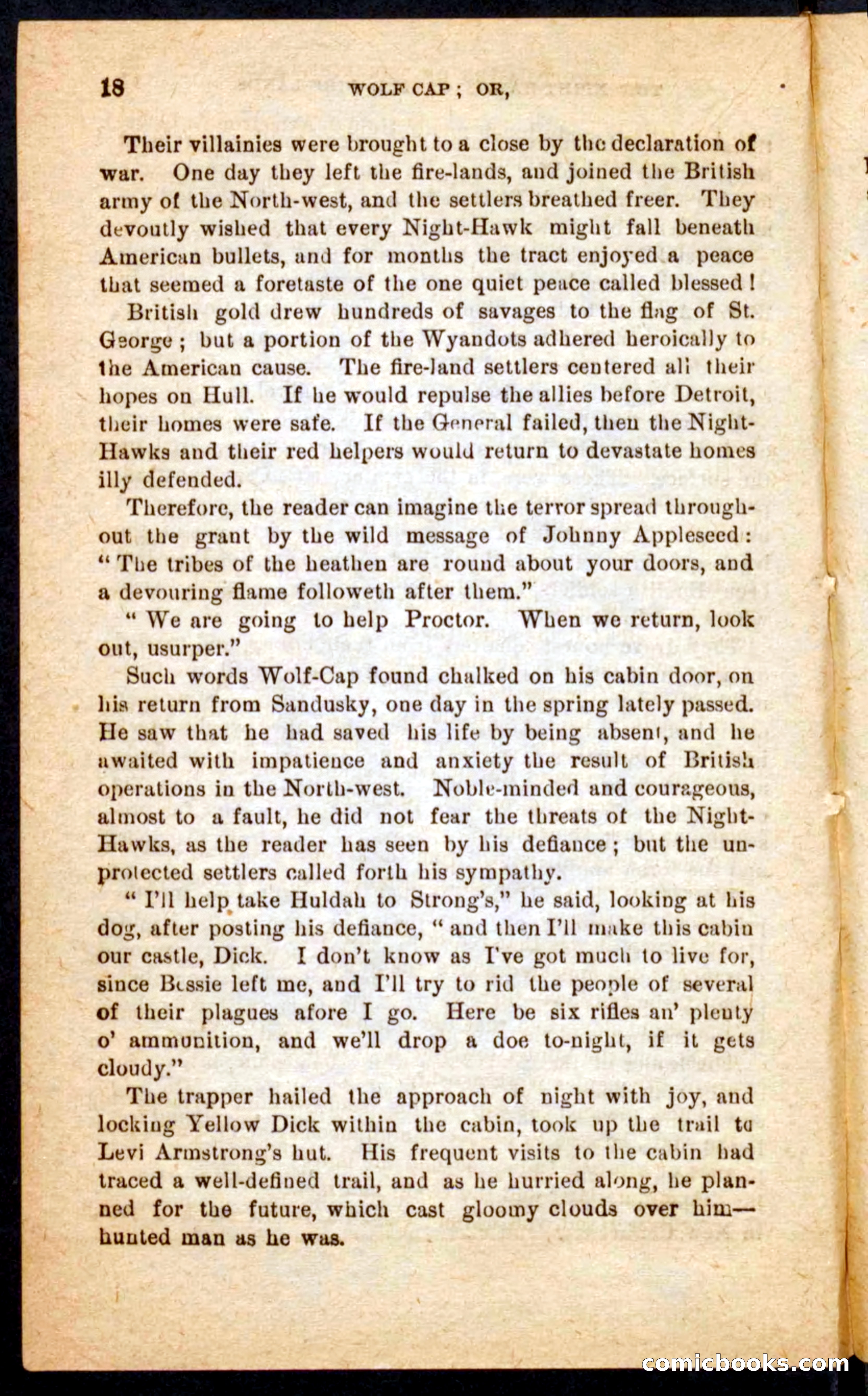 Beadle's Pocket Novels No. 65: Wolf-Cap — page 14 of 100