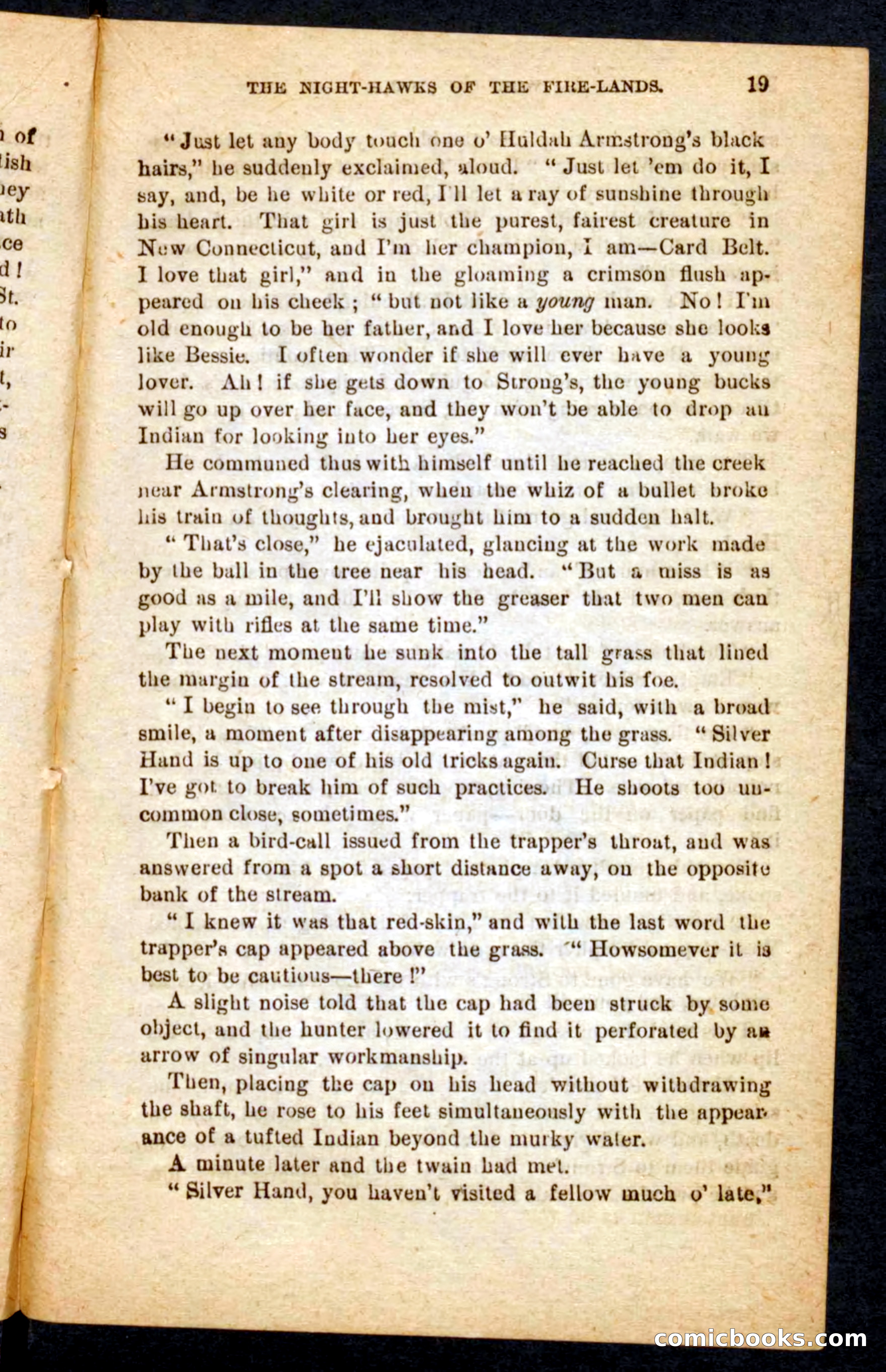 Beadle's Pocket Novels No. 65: Wolf-Cap — page 15 of 100