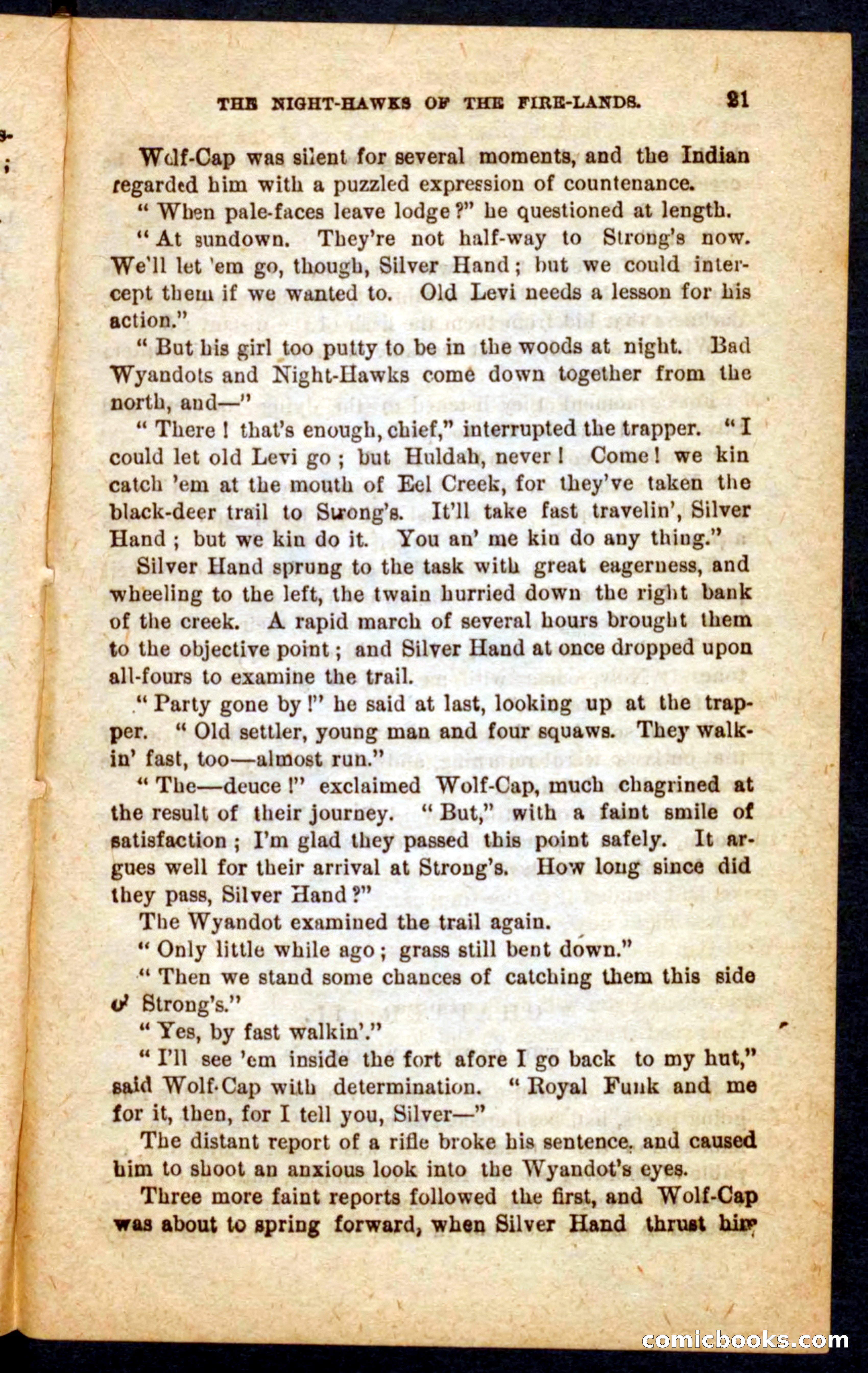 Beadle's Pocket Novels No. 65: Wolf-Cap — page 17 of 100
