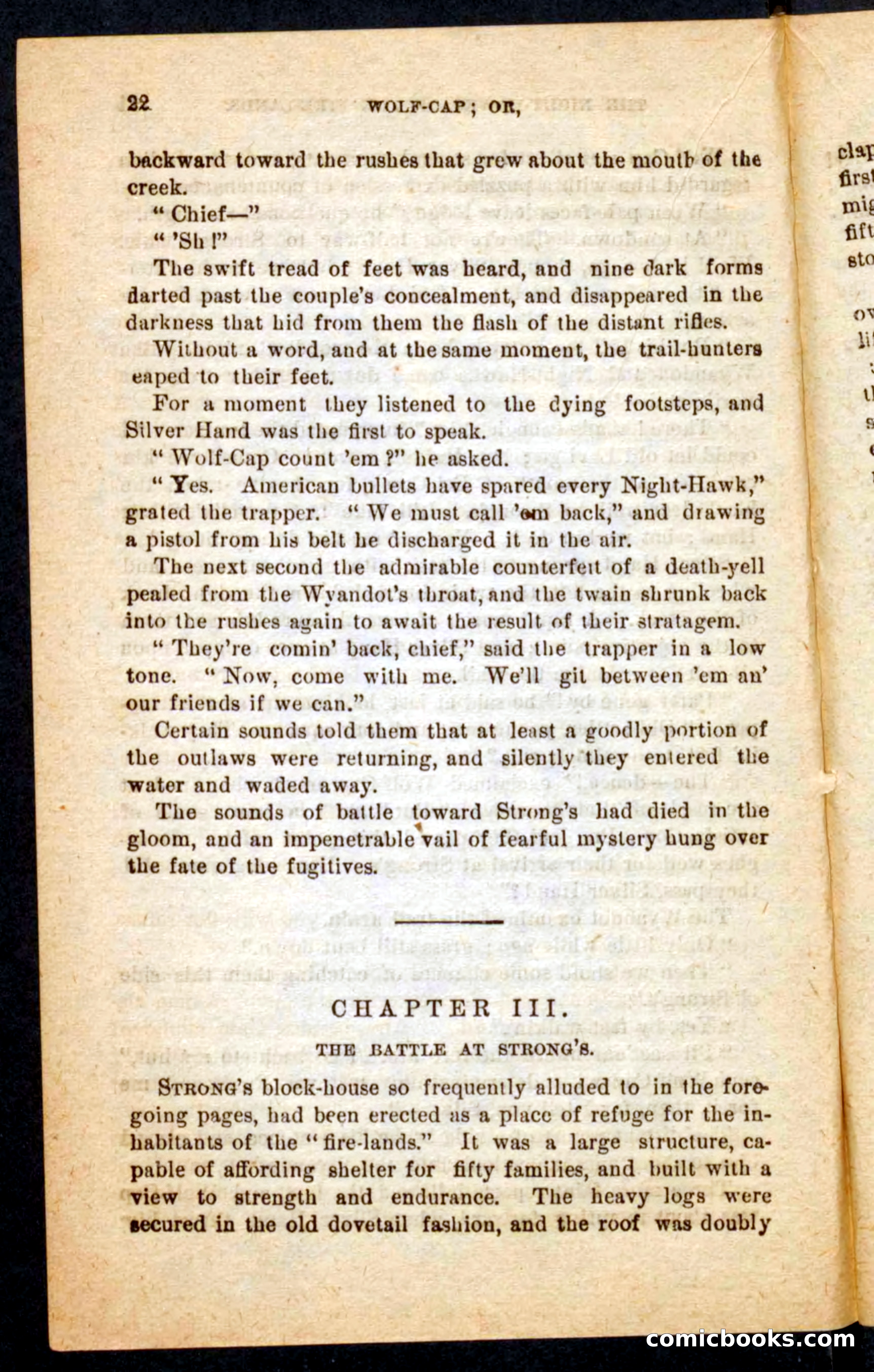 Beadle's Pocket Novels No. 65: Wolf-Cap — page 18 of 100