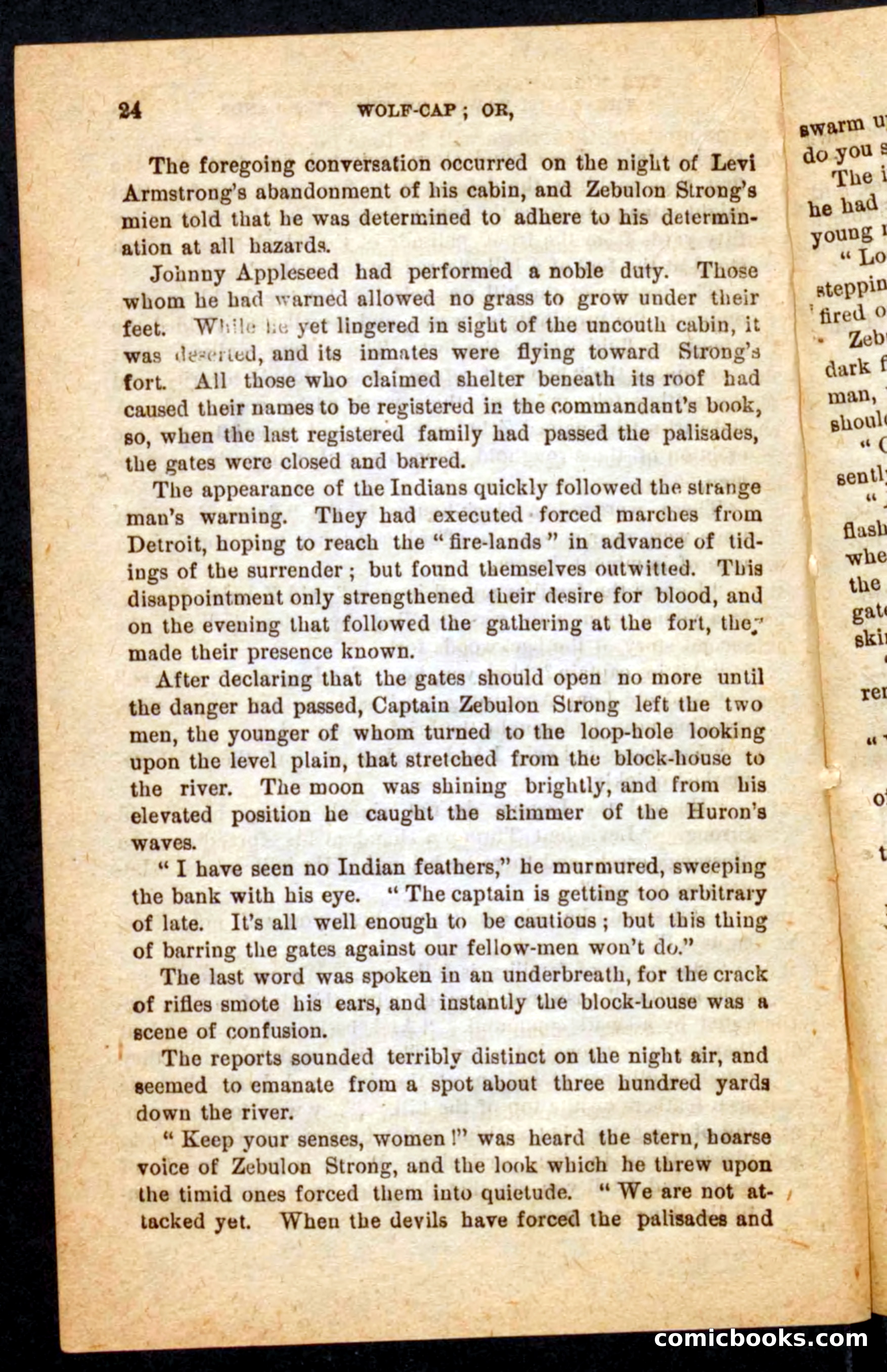 Beadle's Pocket Novels No. 65: Wolf-Cap — page 20 of 100