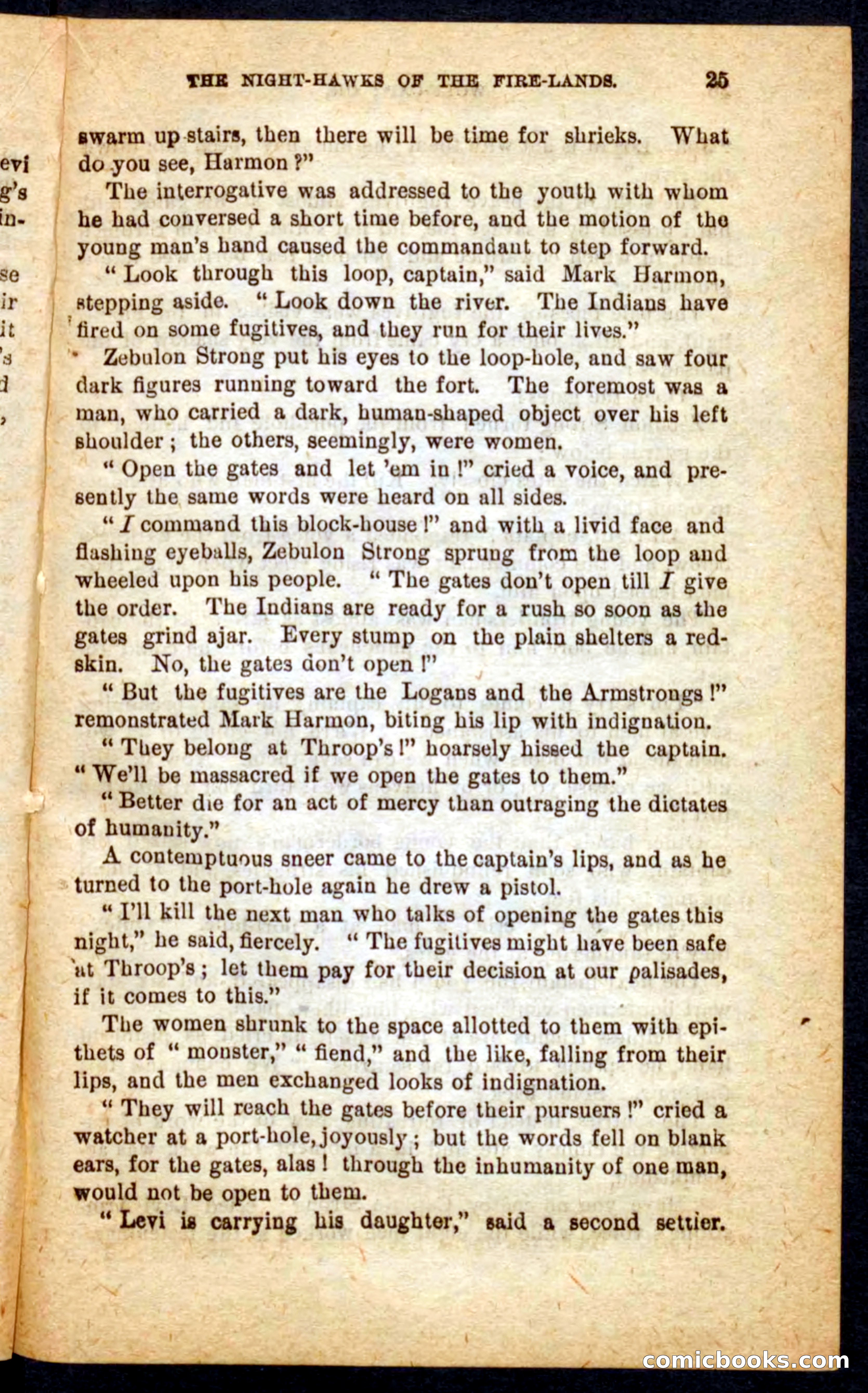Beadle's Pocket Novels No. 65: Wolf-Cap — page 21 of 100