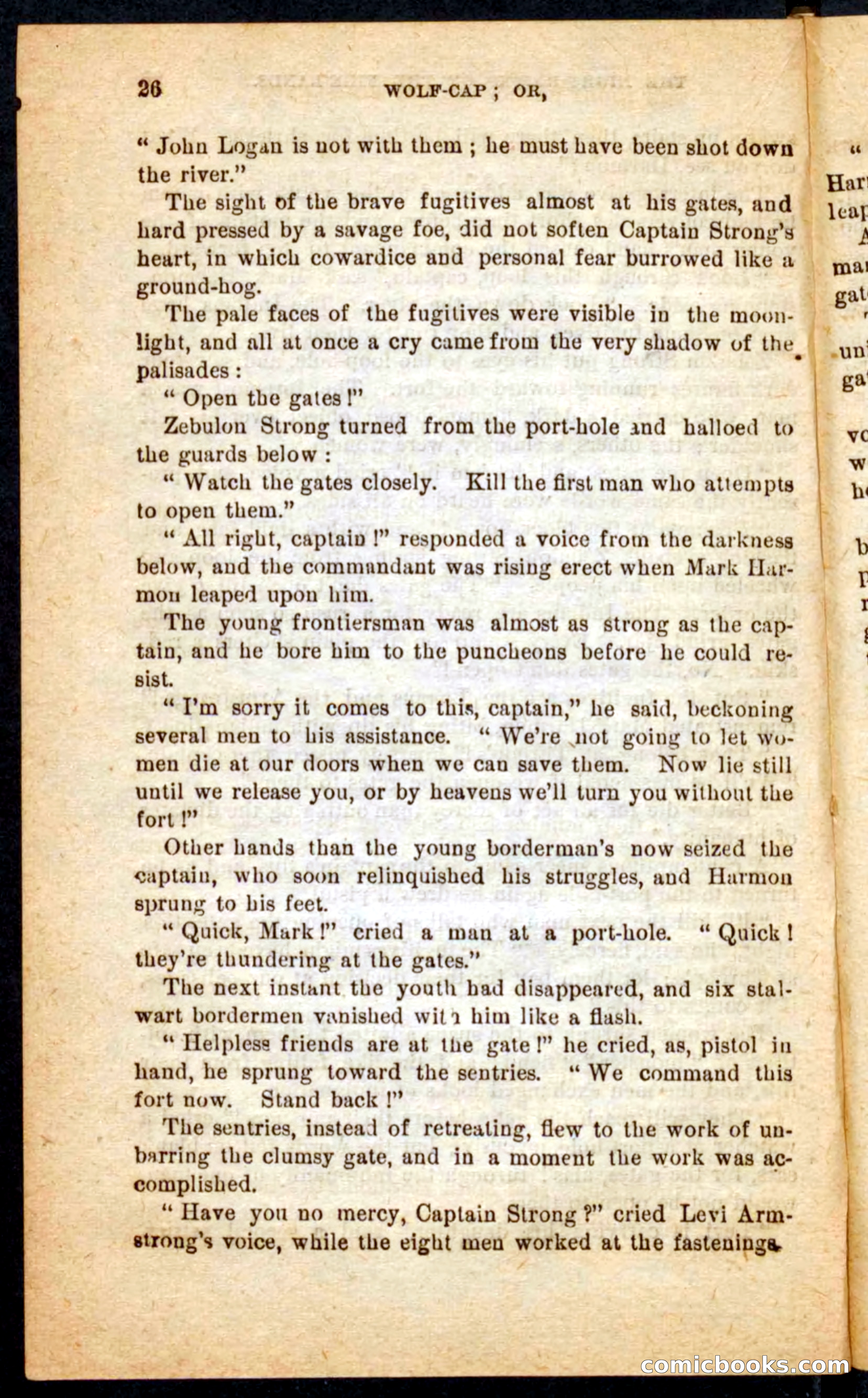 Beadle's Pocket Novels No. 65: Wolf-Cap — page 22 of 100