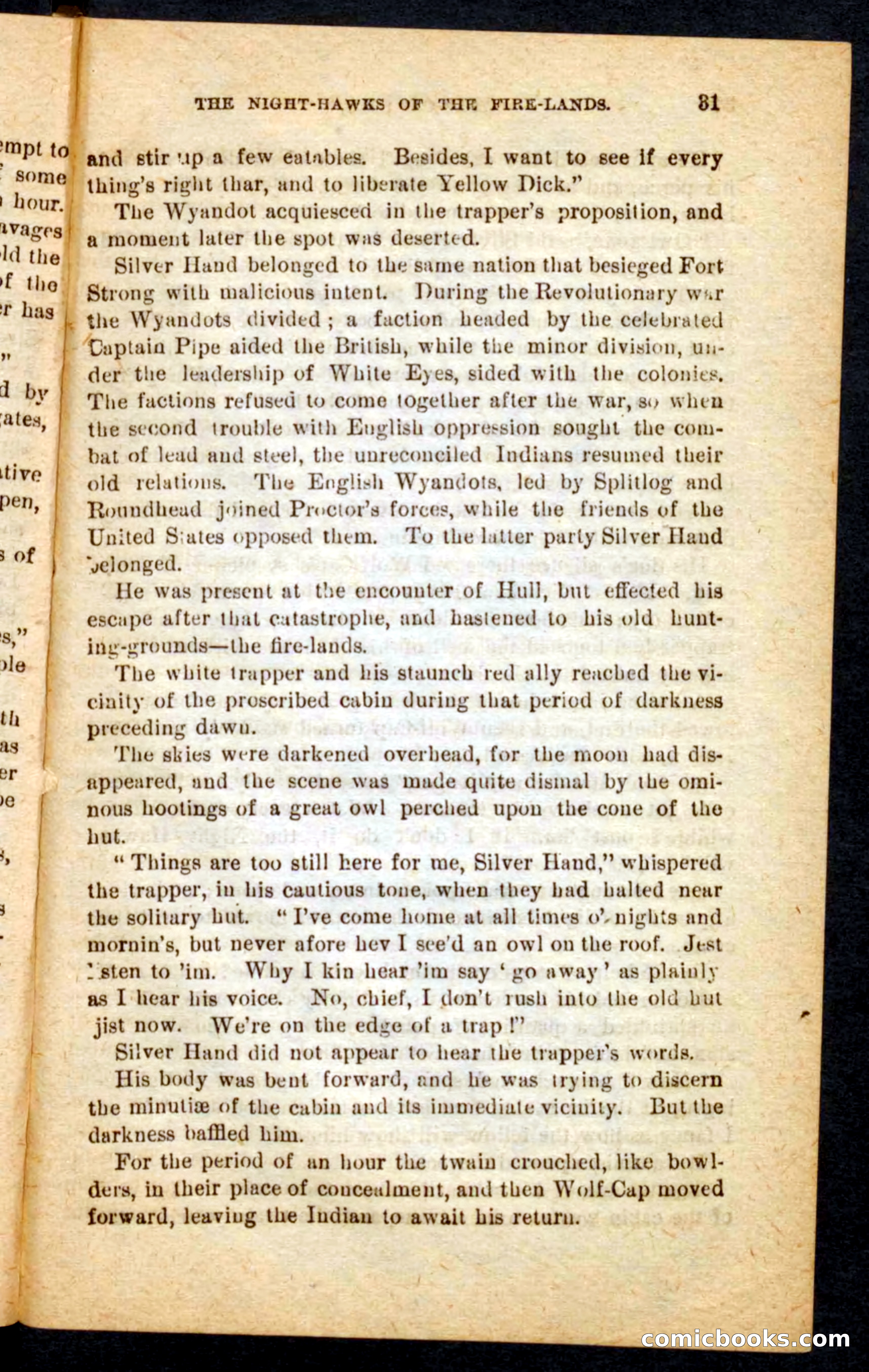 Beadle's Pocket Novels No. 65: Wolf-Cap — page 27 of 100