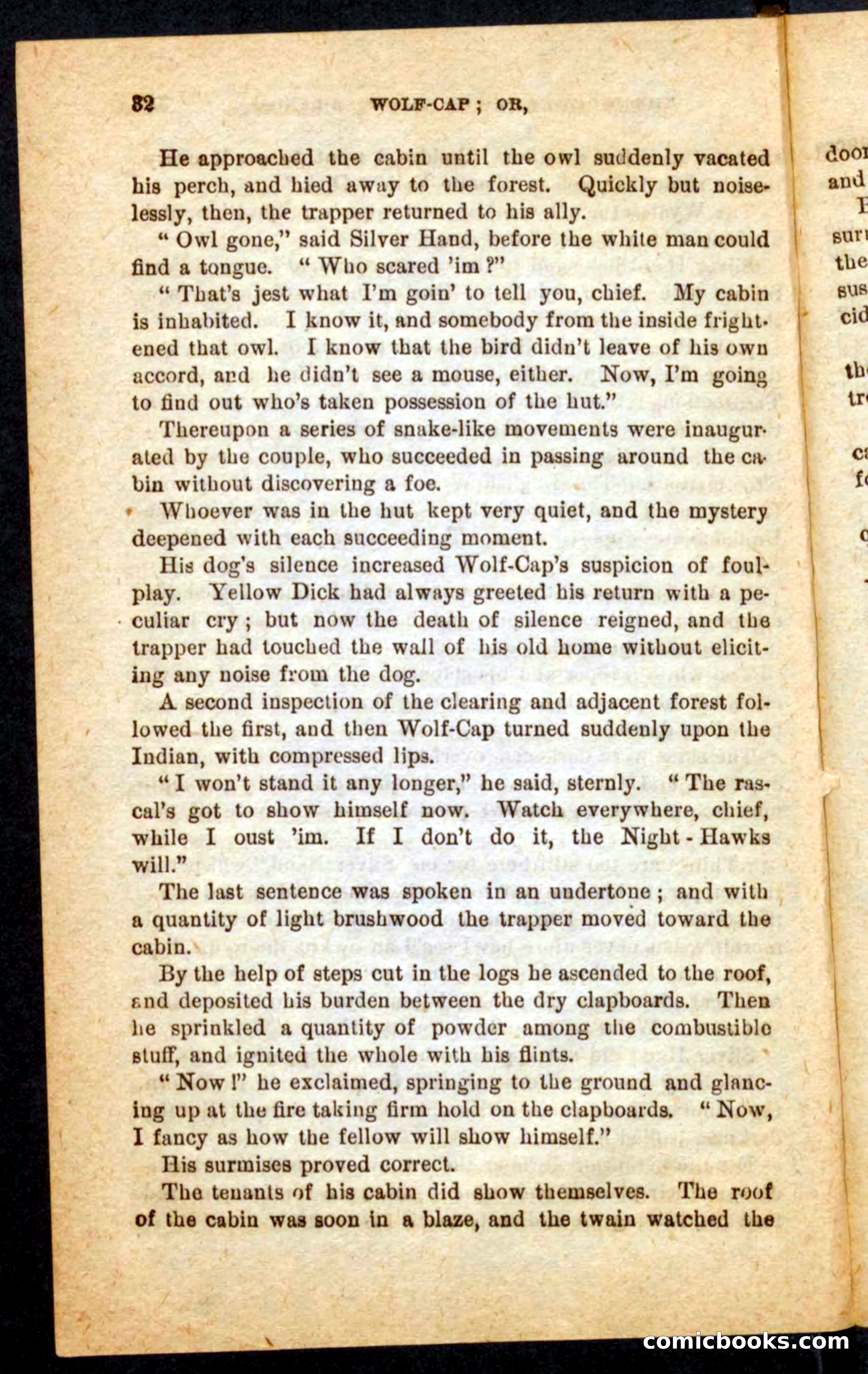 Beadle's Pocket Novels No. 65: Wolf-Cap — page 28 of 100