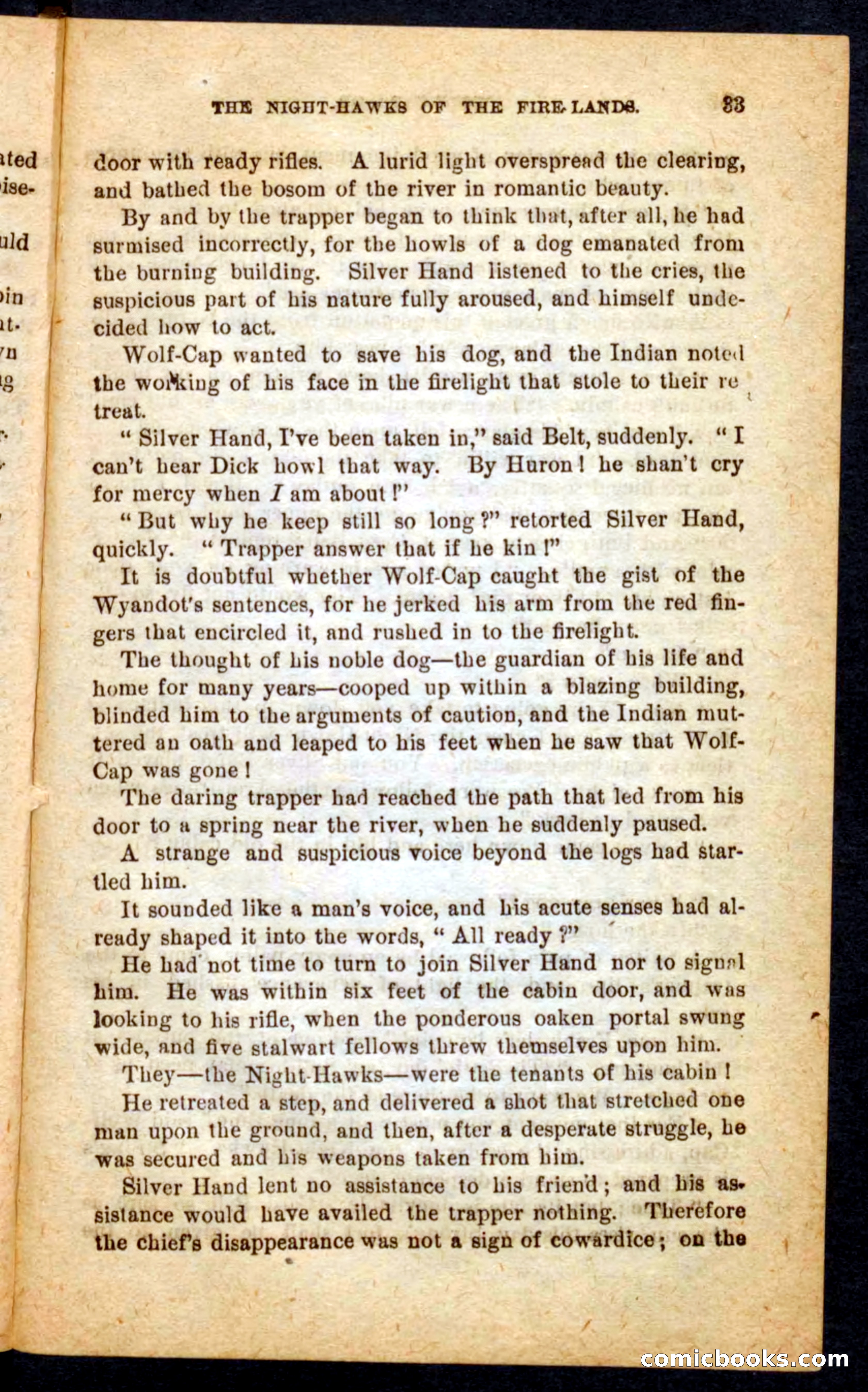 Beadle's Pocket Novels No. 65: Wolf-Cap — page 29 of 100