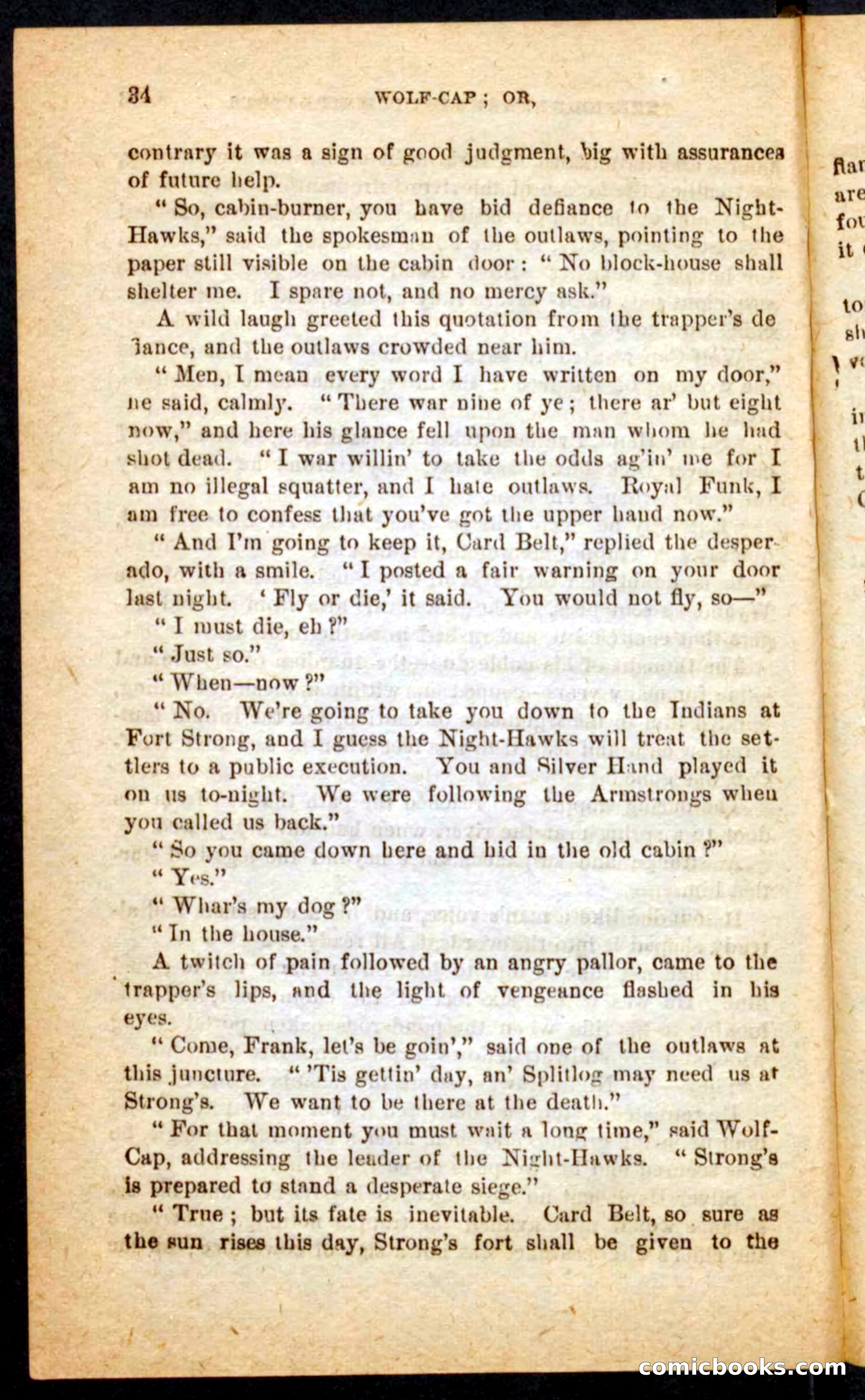 Beadle's Pocket Novels No. 65: Wolf-Cap — page 30 of 100