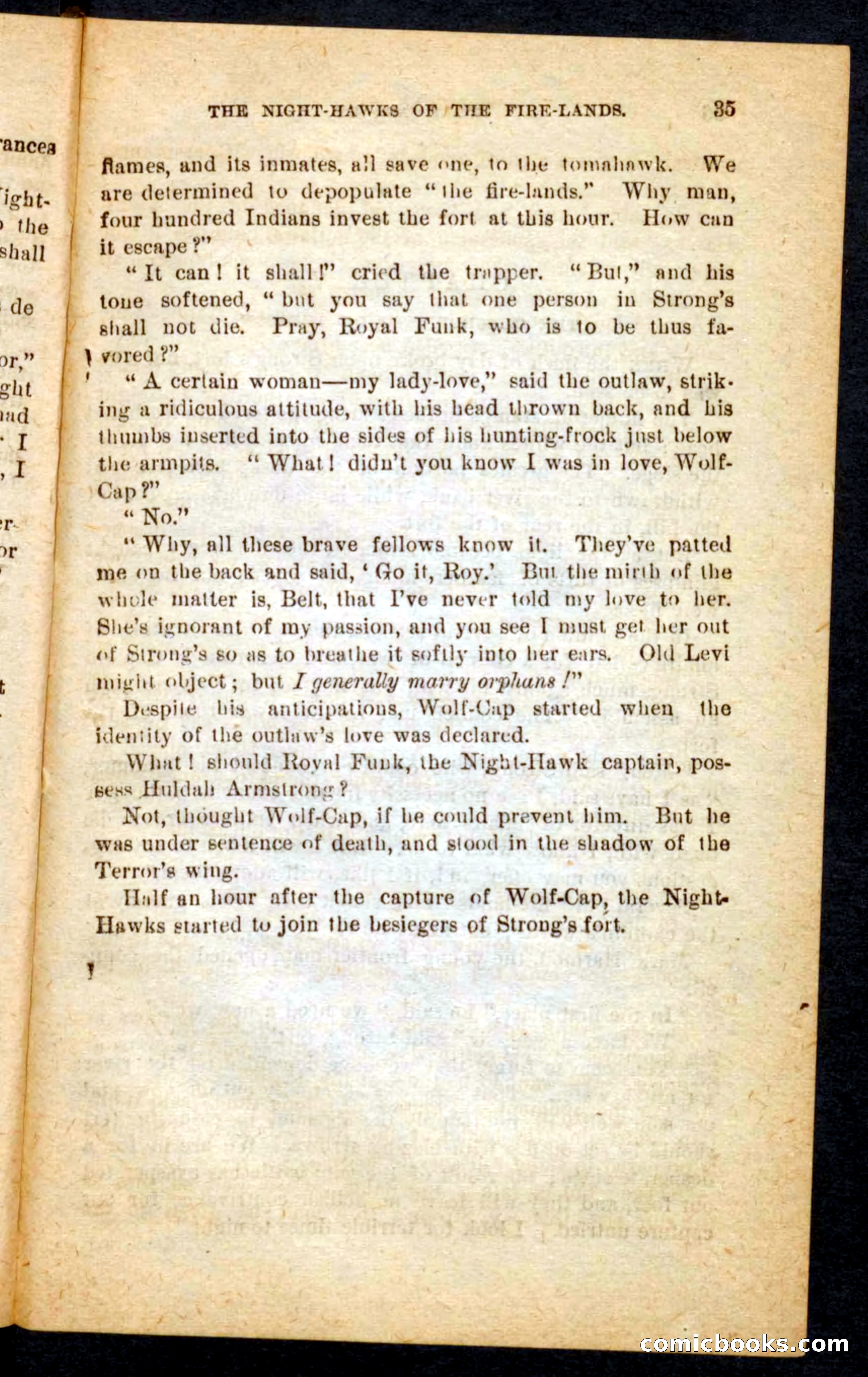 Beadle's Pocket Novels No. 65: Wolf-Cap — page 31 of 100