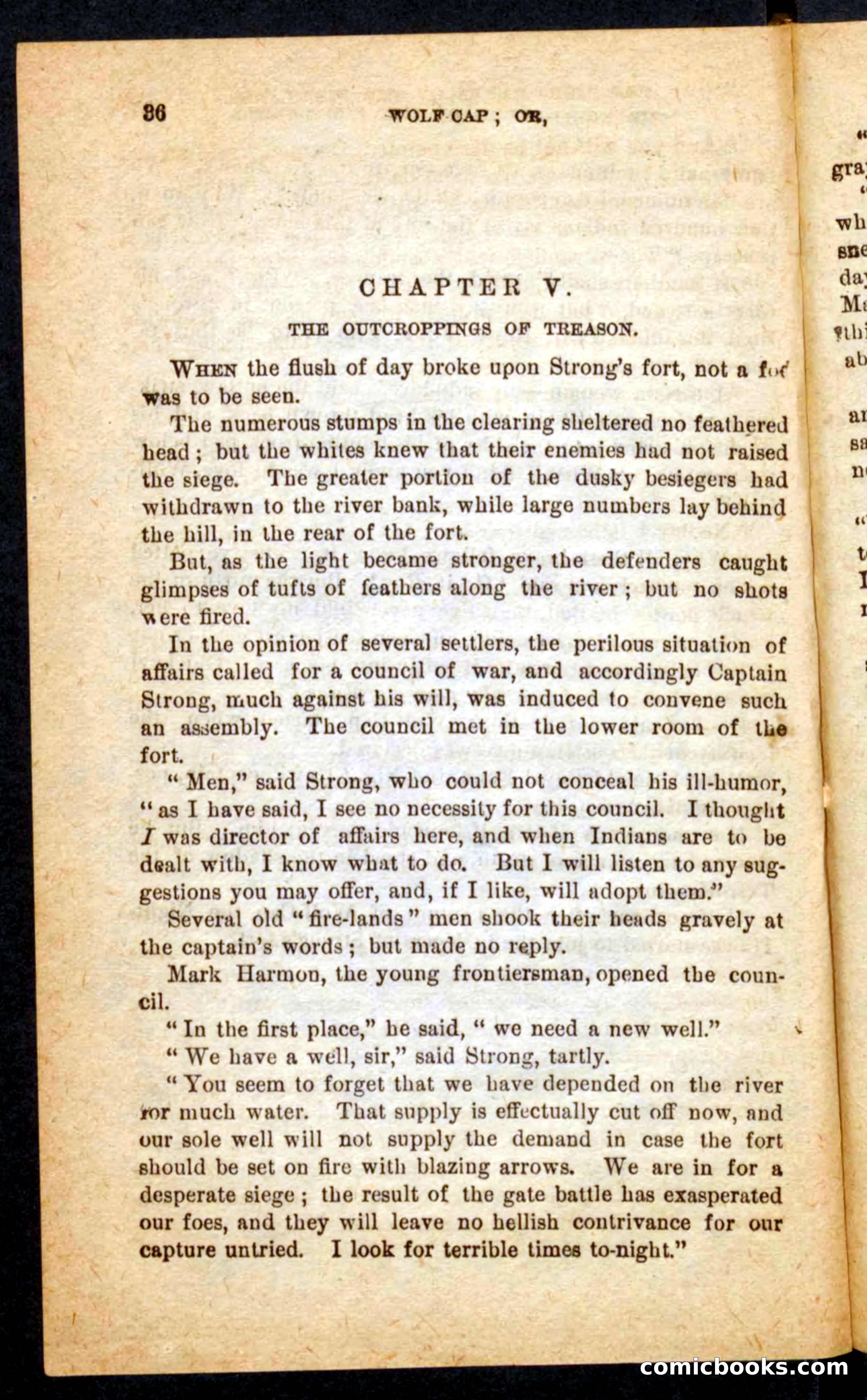 Beadle's Pocket Novels No. 65: Wolf-Cap — page 32 of 100