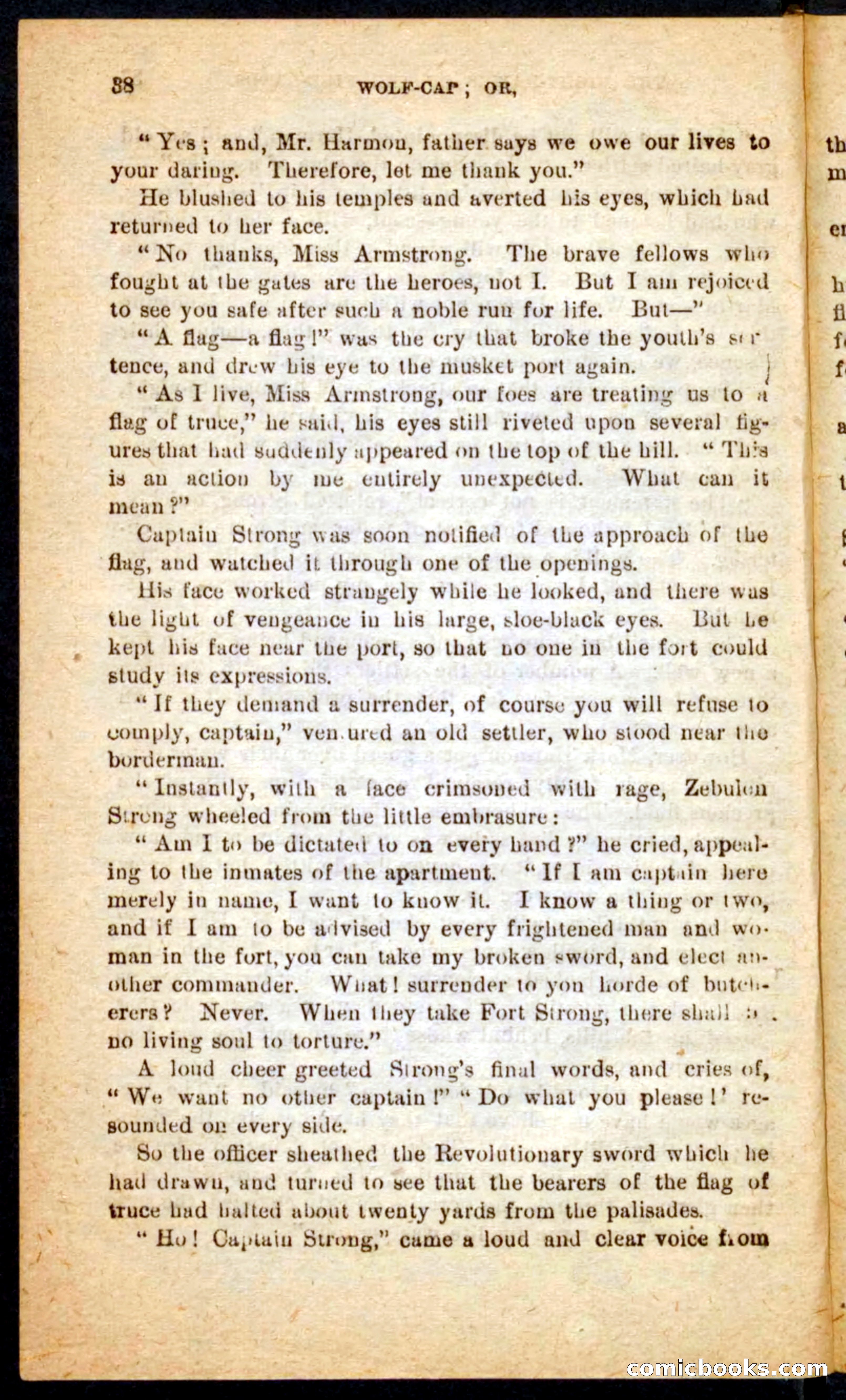 Beadle's Pocket Novels No. 65: Wolf-Cap — page 34 of 100