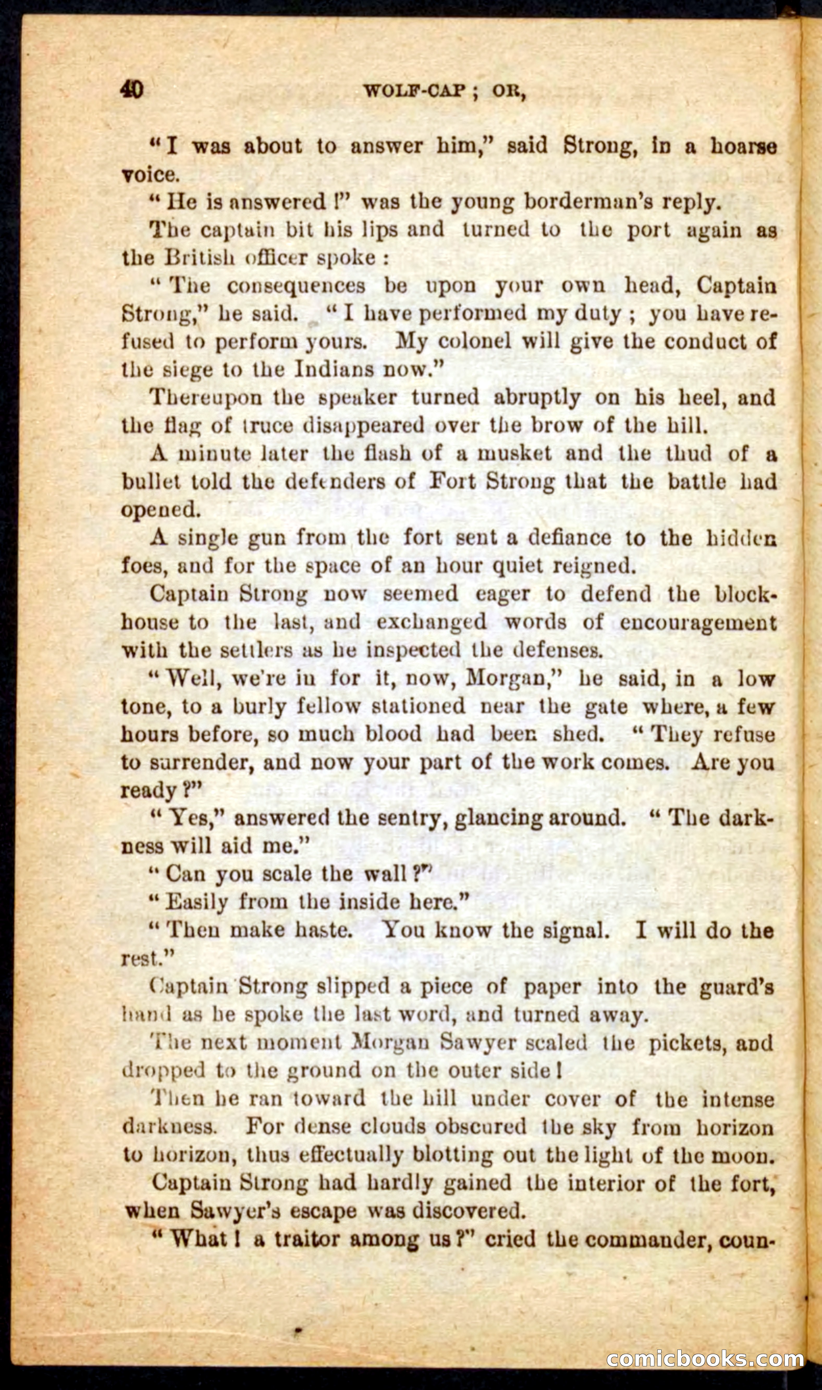 Beadle's Pocket Novels No. 65: Wolf-Cap — page 36 of 100