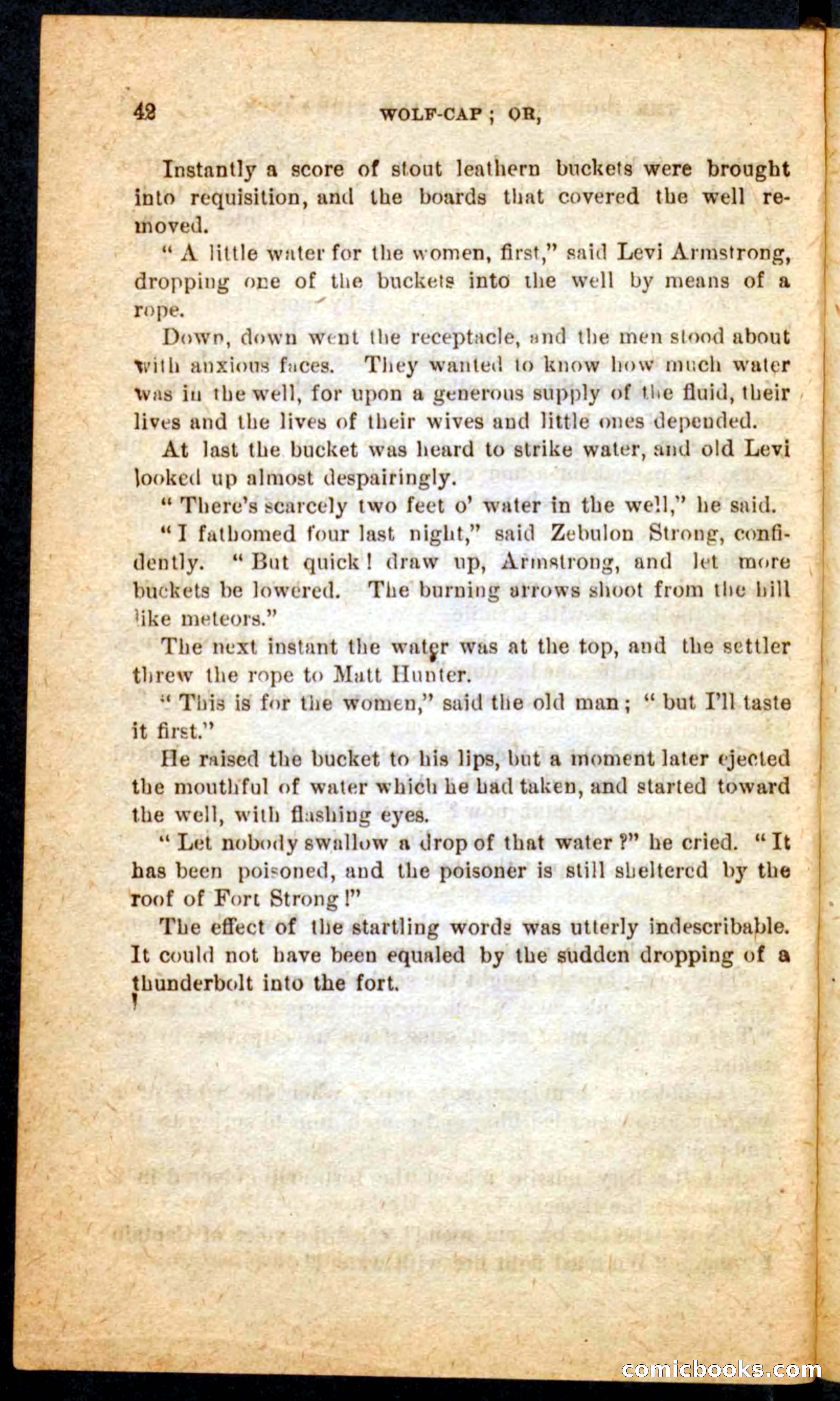 Beadle's Pocket Novels No. 65: Wolf-Cap — page 38 of 100