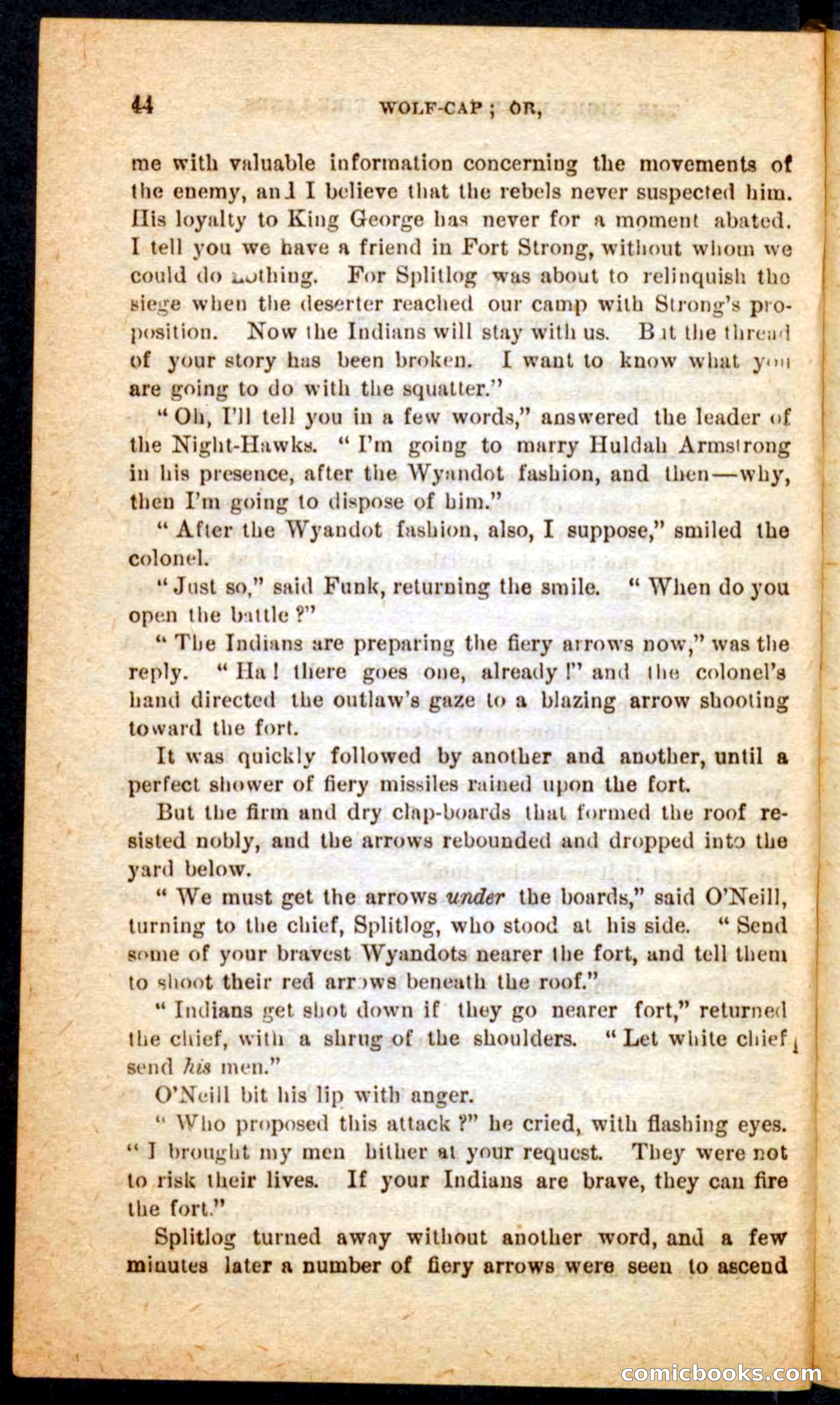 Beadle's Pocket Novels No. 65: Wolf-Cap — page 40 of 100