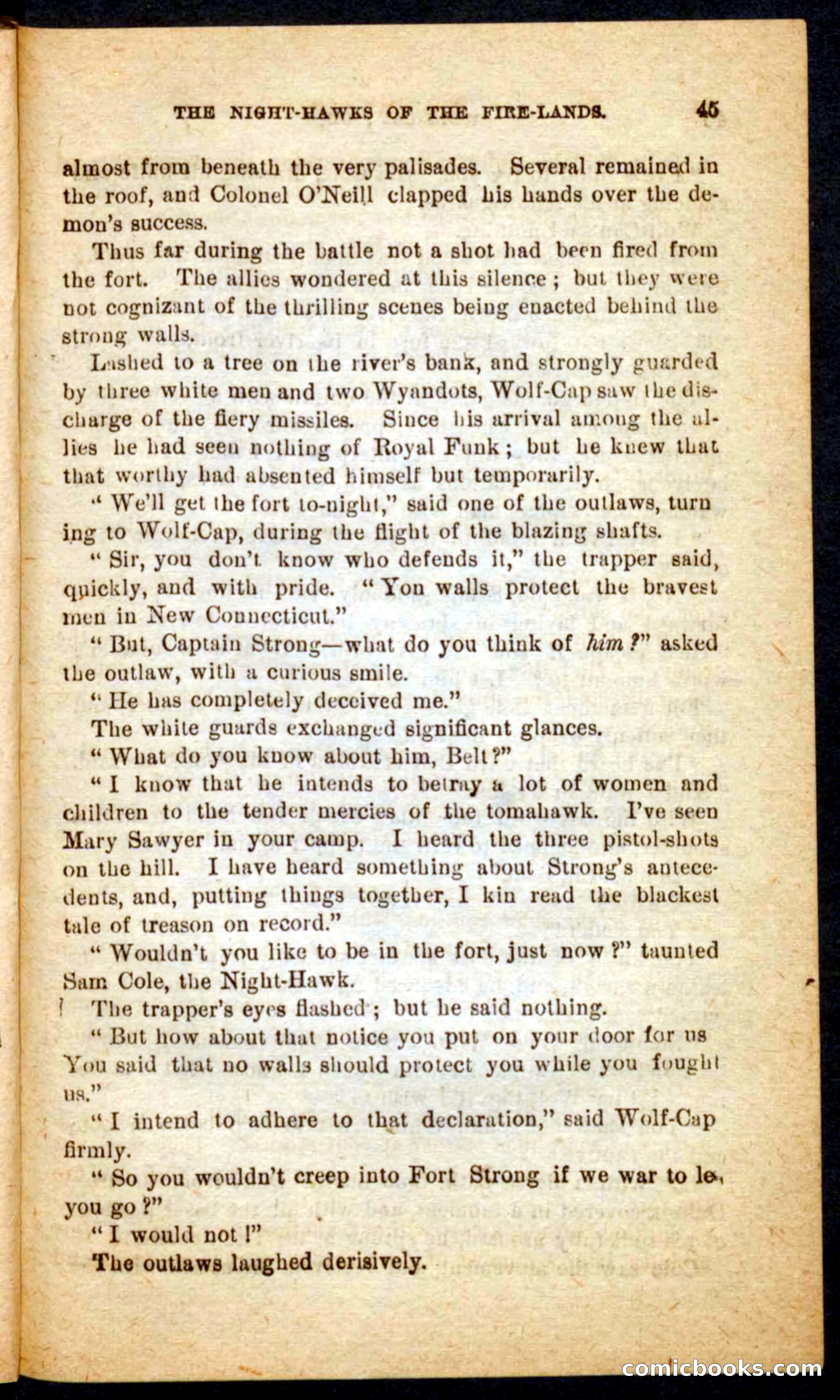 Beadle's Pocket Novels No. 65: Wolf-Cap — page 41 of 100