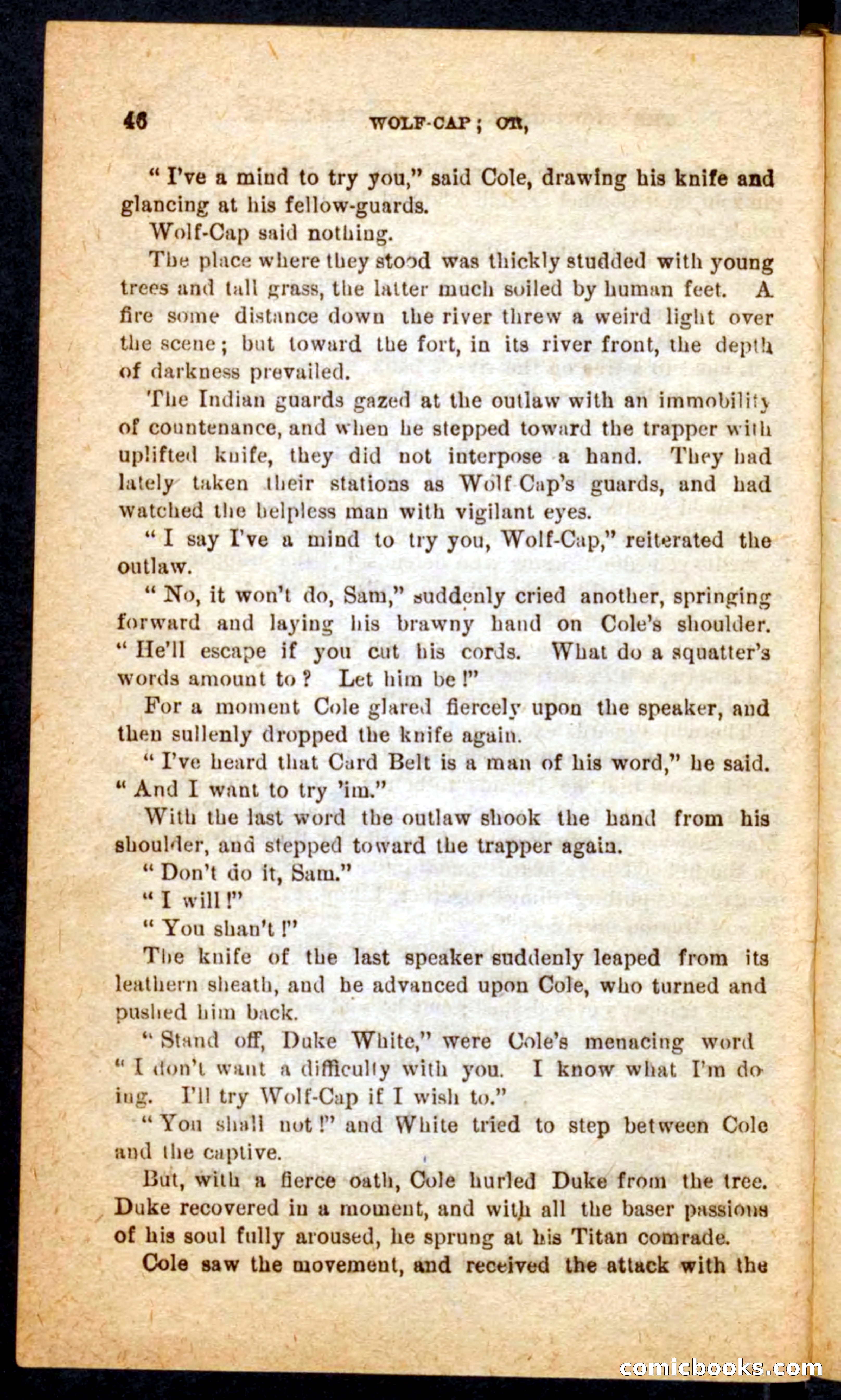 Beadle's Pocket Novels No. 65: Wolf-Cap — page 42 of 100