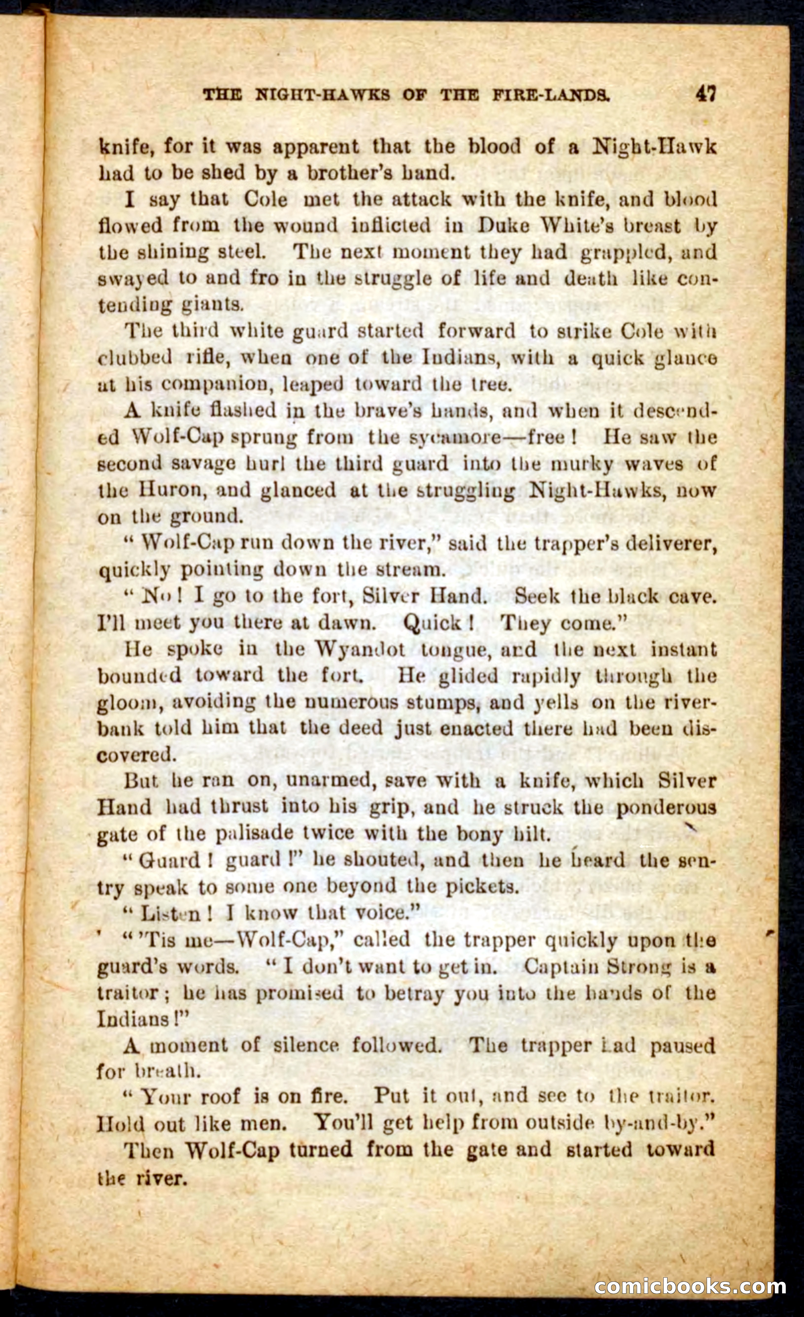 Beadle's Pocket Novels No. 65: Wolf-Cap — page 43 of 100