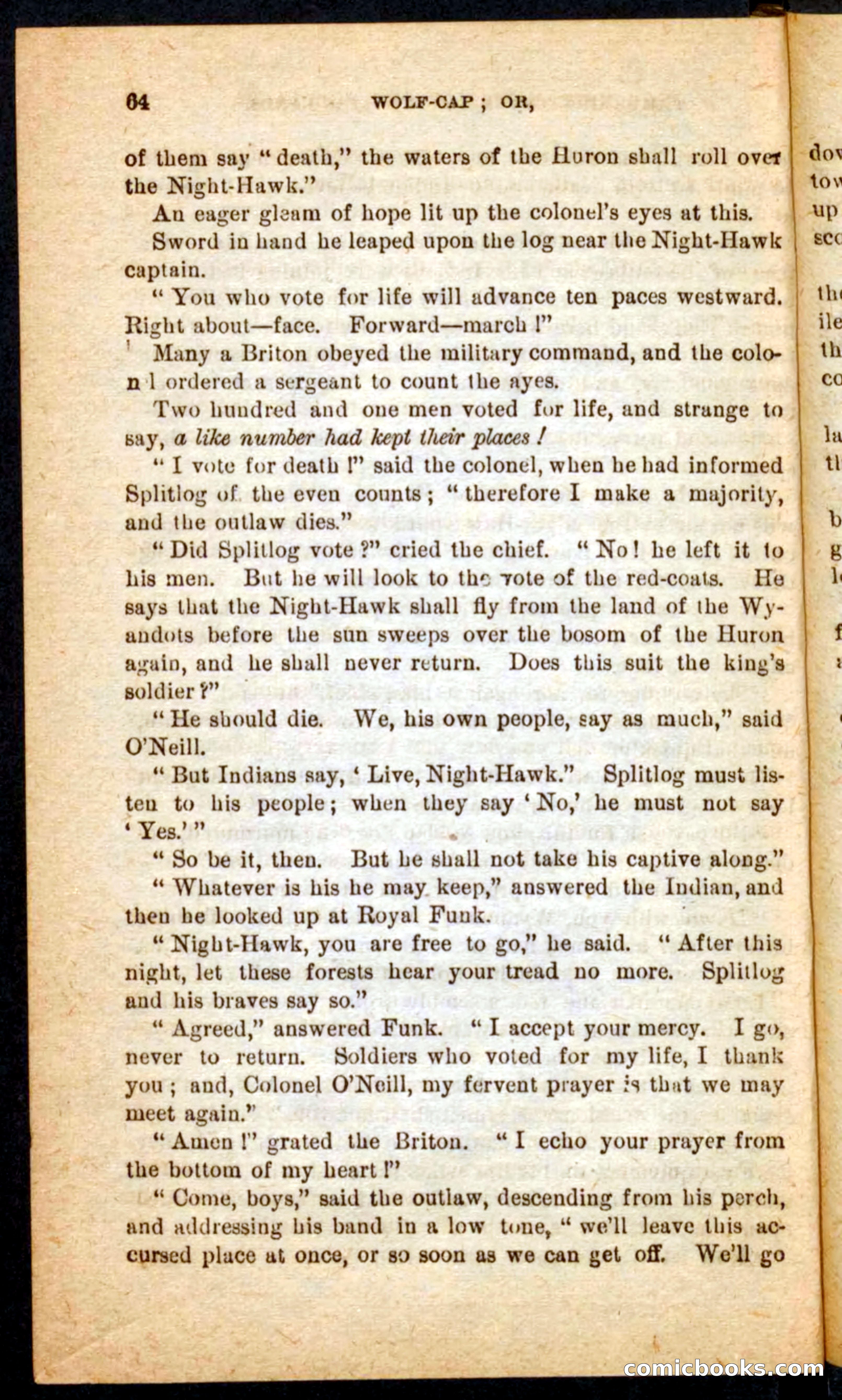 Beadle's Pocket Novels No. 65: Wolf-Cap — page 60 of 100