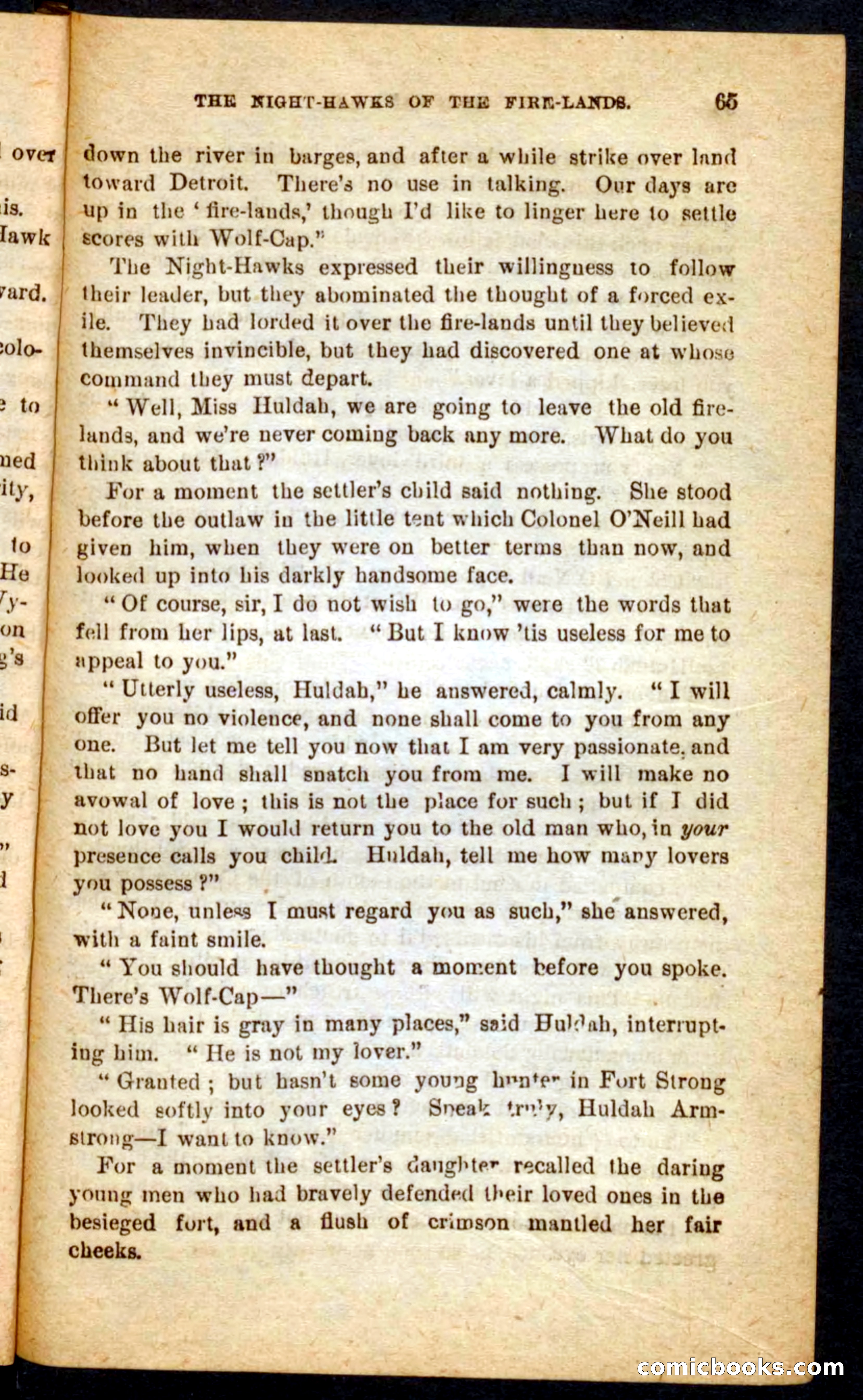 Beadle's Pocket Novels No. 65: Wolf-Cap — page 61 of 100
