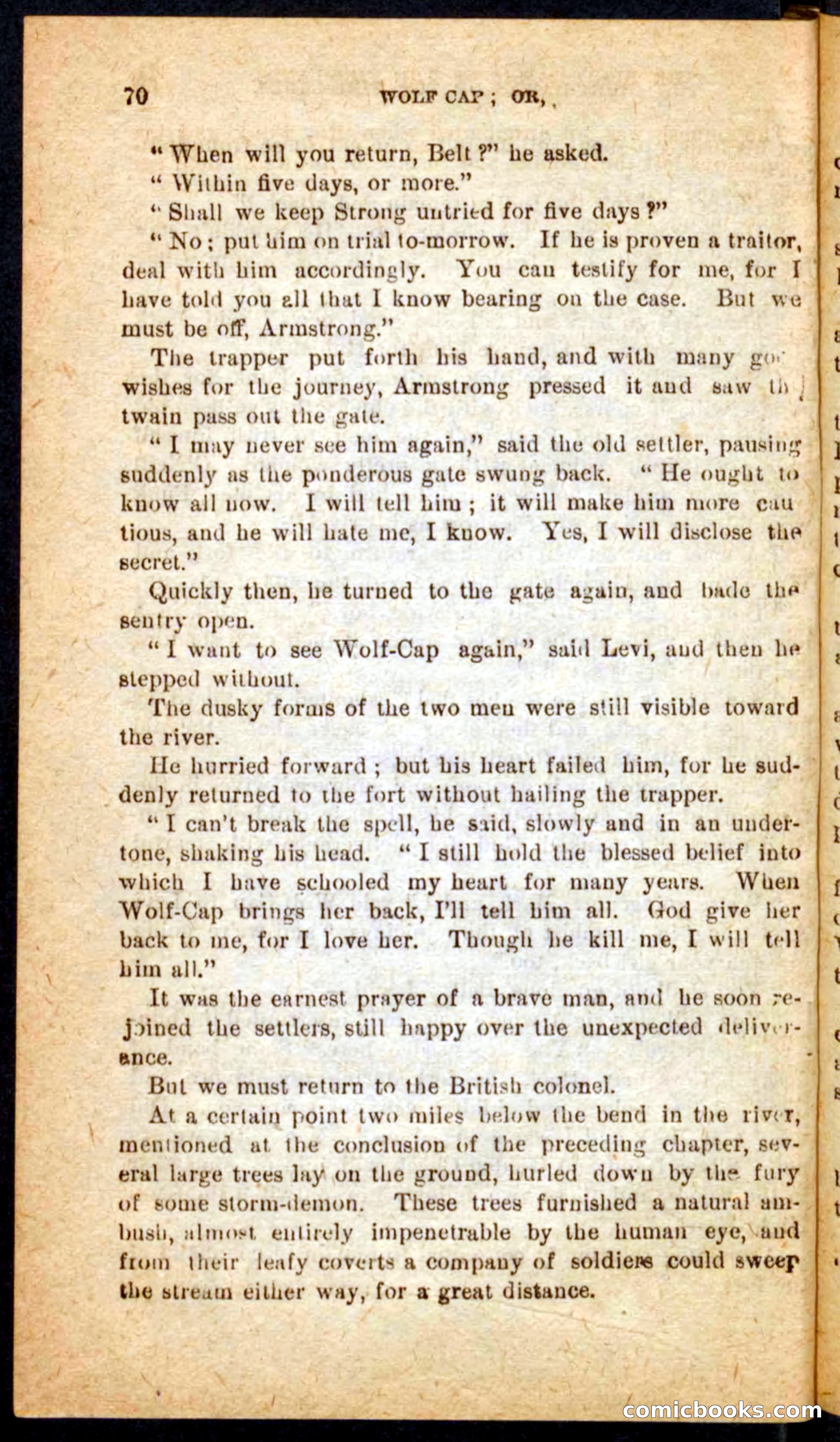 Beadle's Pocket Novels No. 65: Wolf-Cap — page 66 of 100
