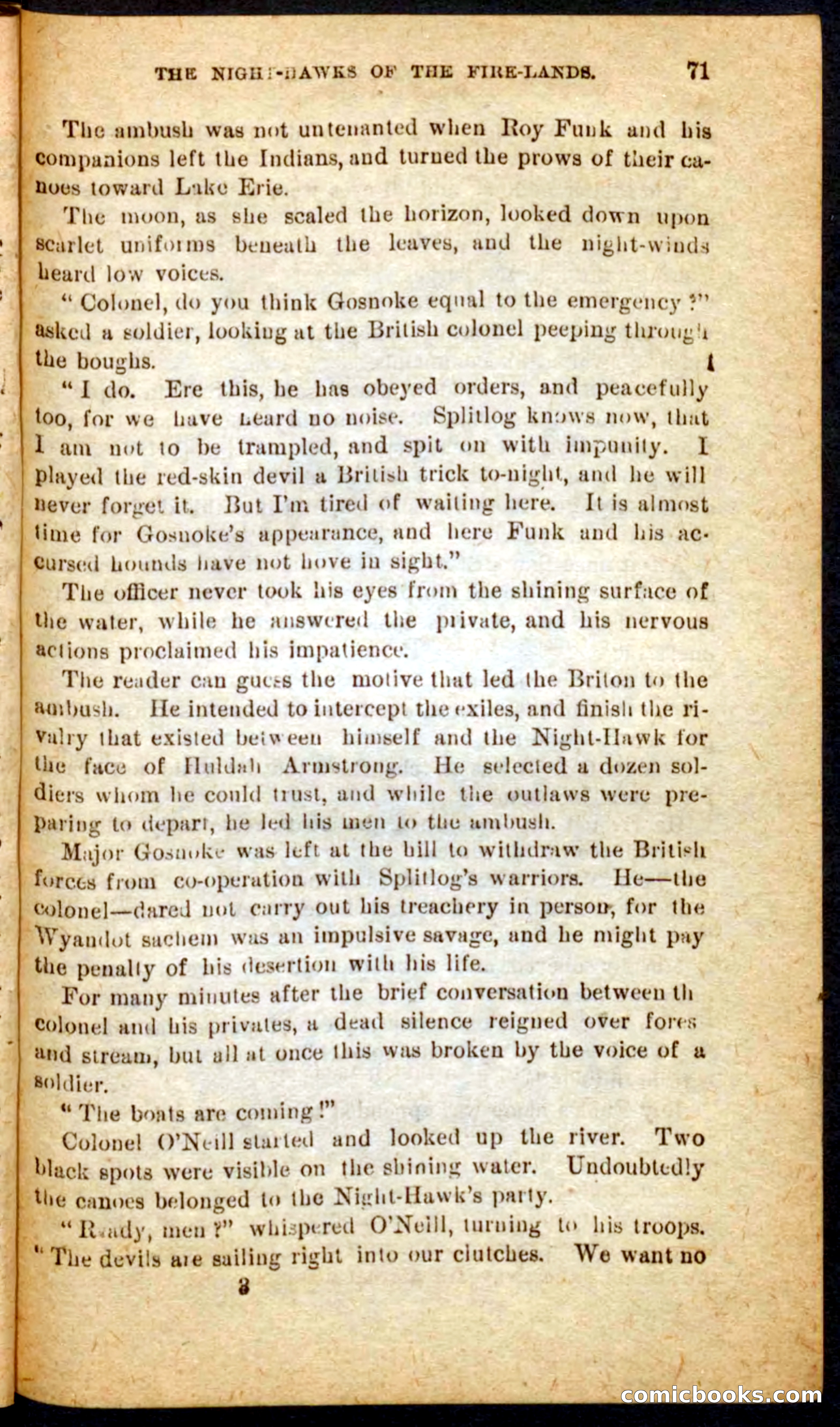 Beadle's Pocket Novels No. 65: Wolf-Cap — page 67 of 100