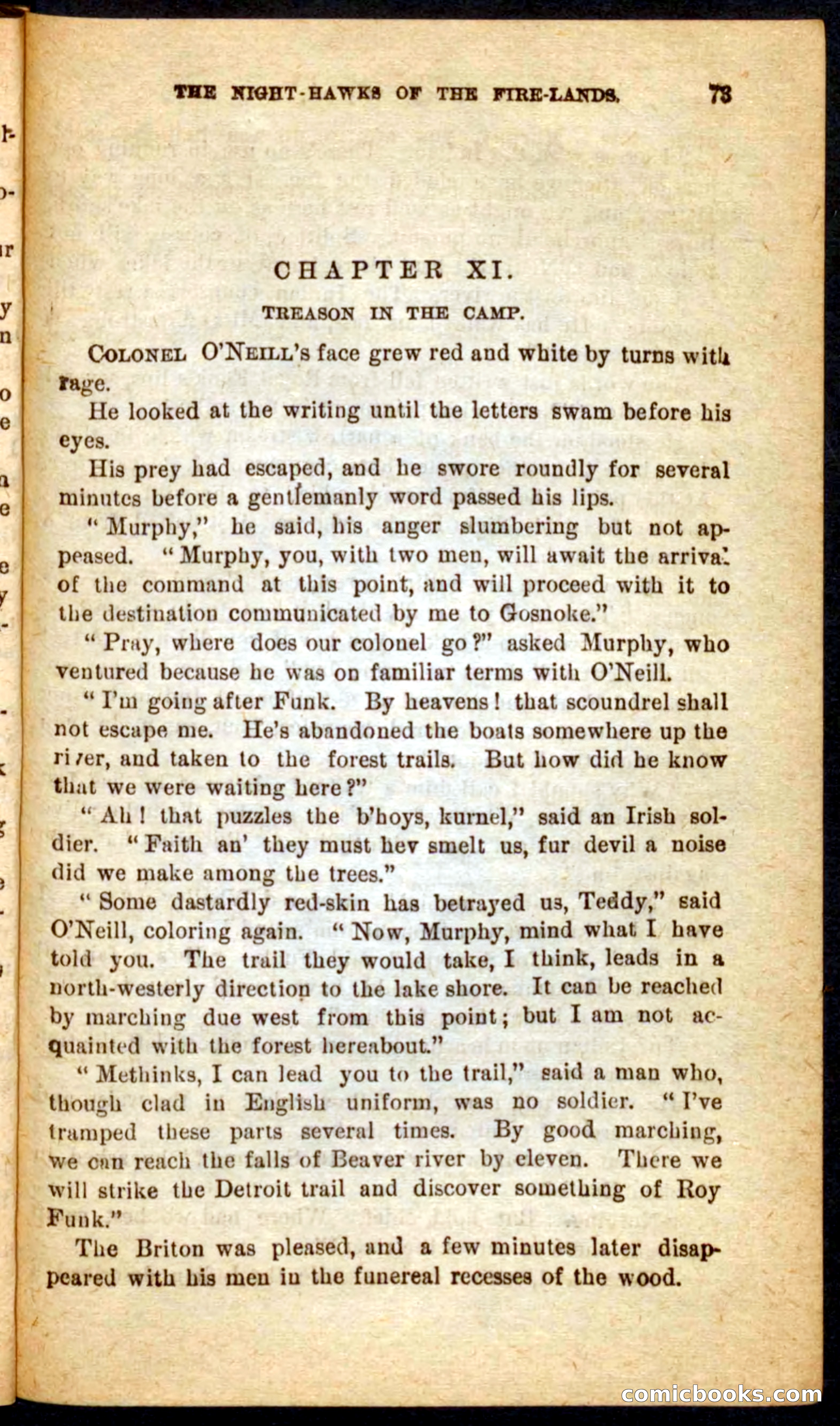 Beadle's Pocket Novels No. 65: Wolf-Cap — page 69 of 100