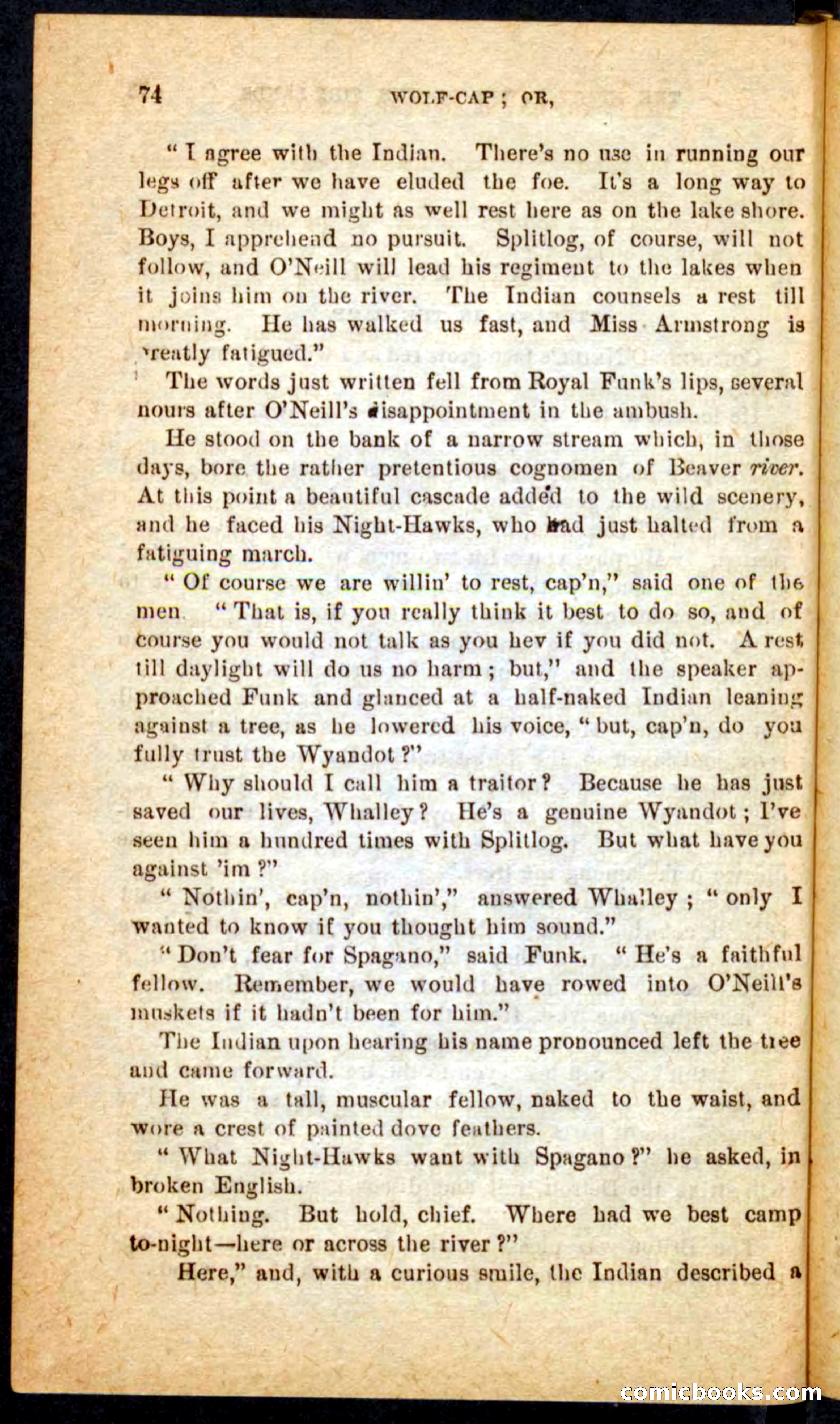 Beadle's Pocket Novels No. 65: Wolf-Cap — page 70 of 100