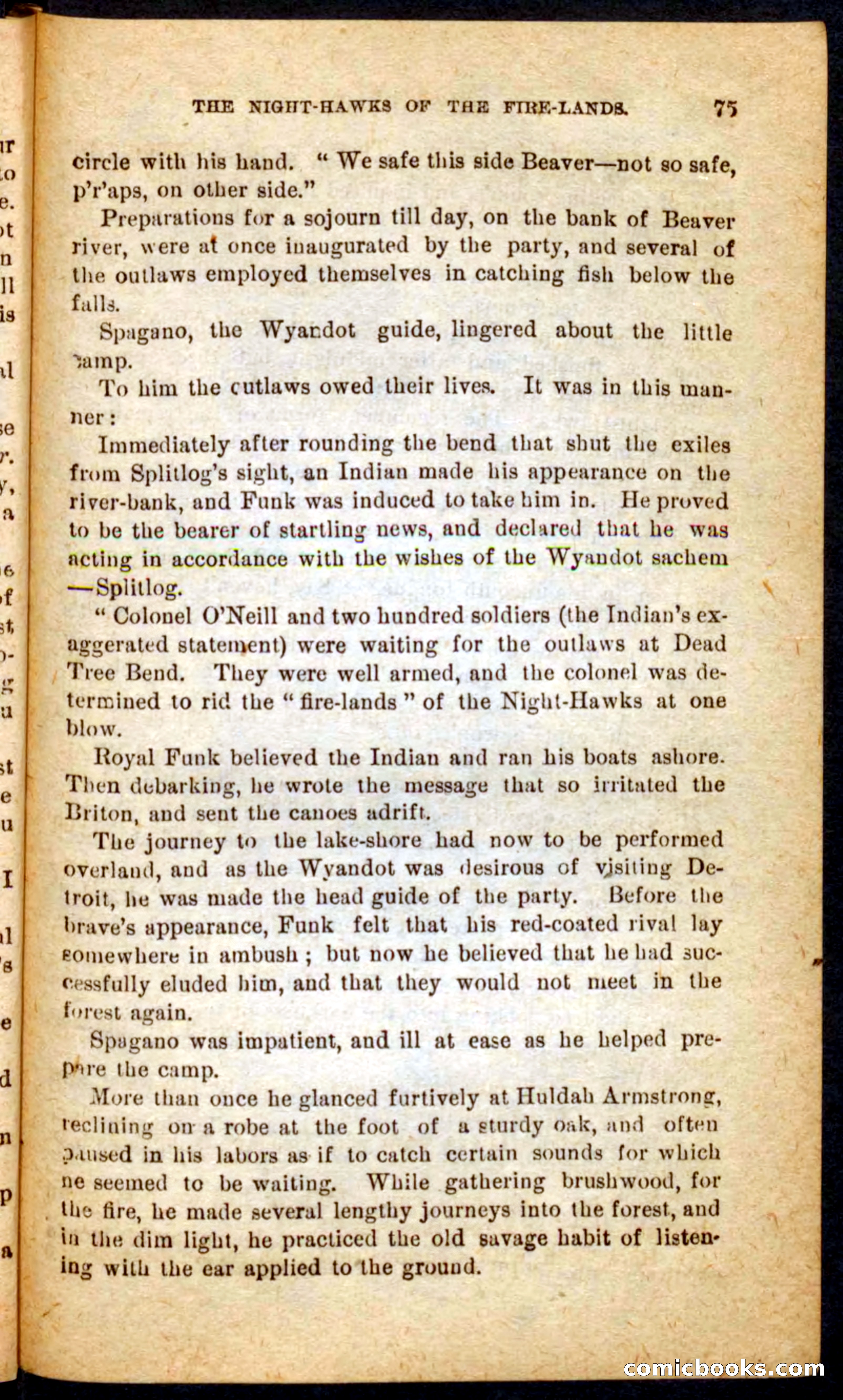 Beadle's Pocket Novels No. 65: Wolf-Cap — page 71 of 100