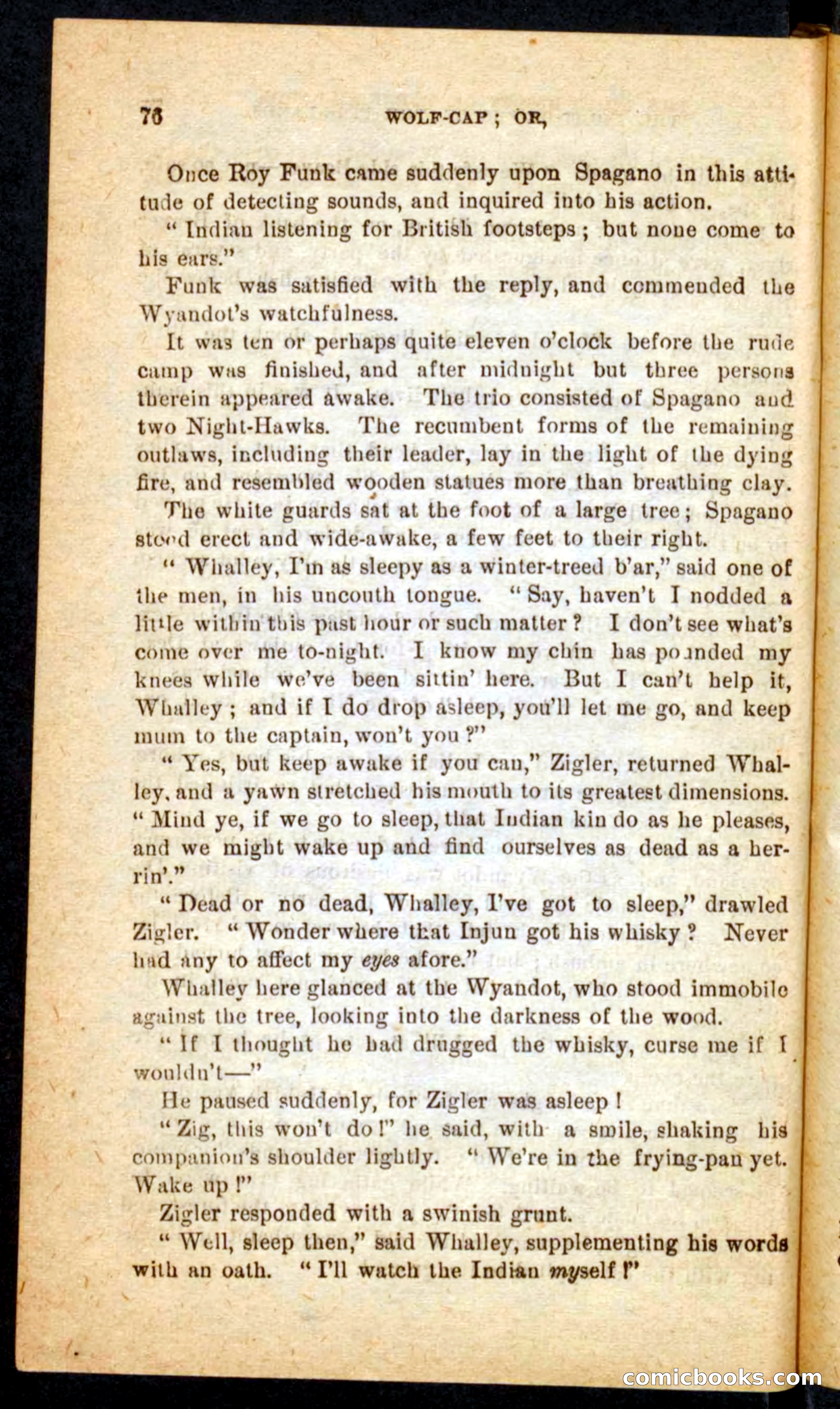 Beadle's Pocket Novels No. 65: Wolf-Cap — page 72 of 100