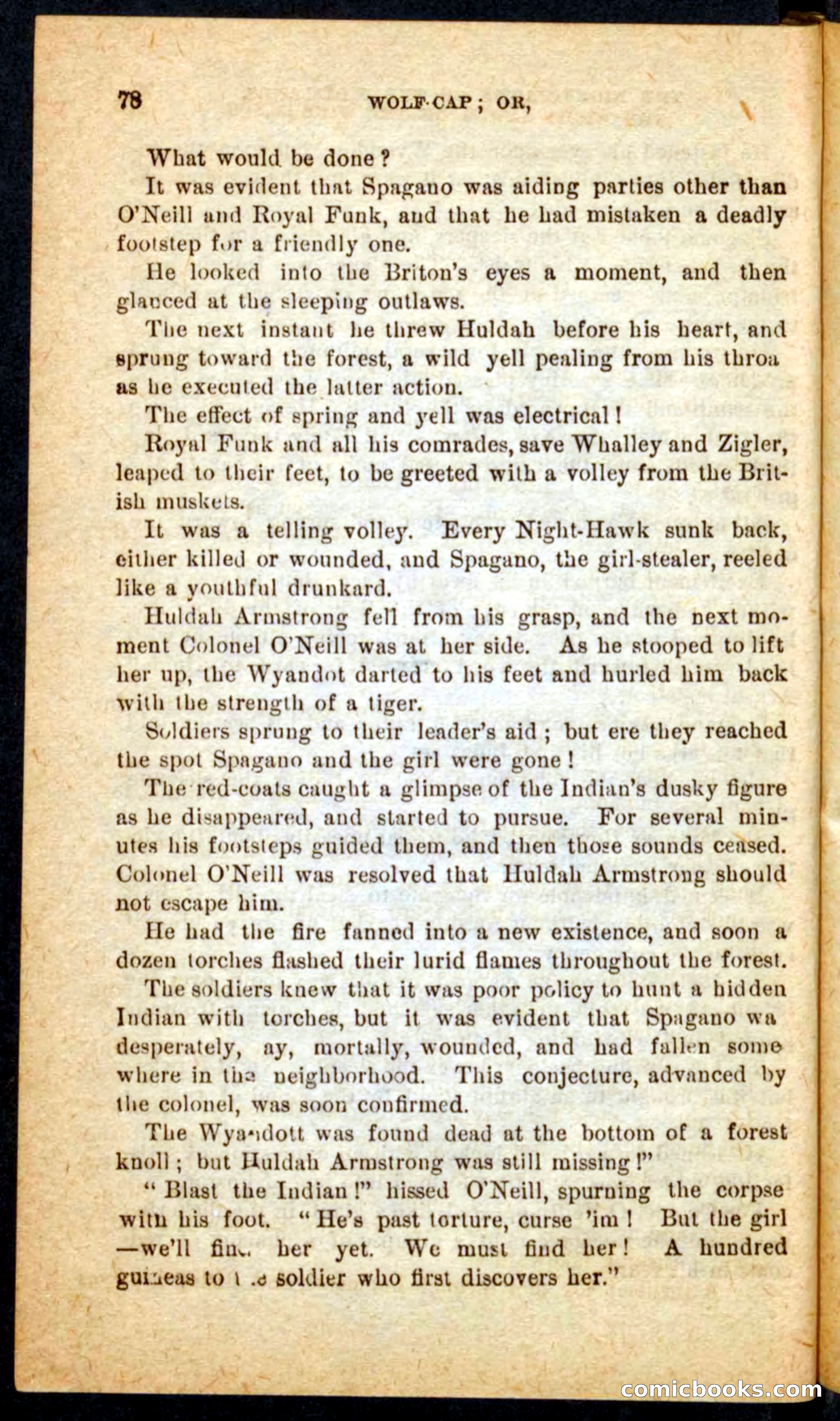 Beadle's Pocket Novels No. 65: Wolf-Cap — page 74 of 100