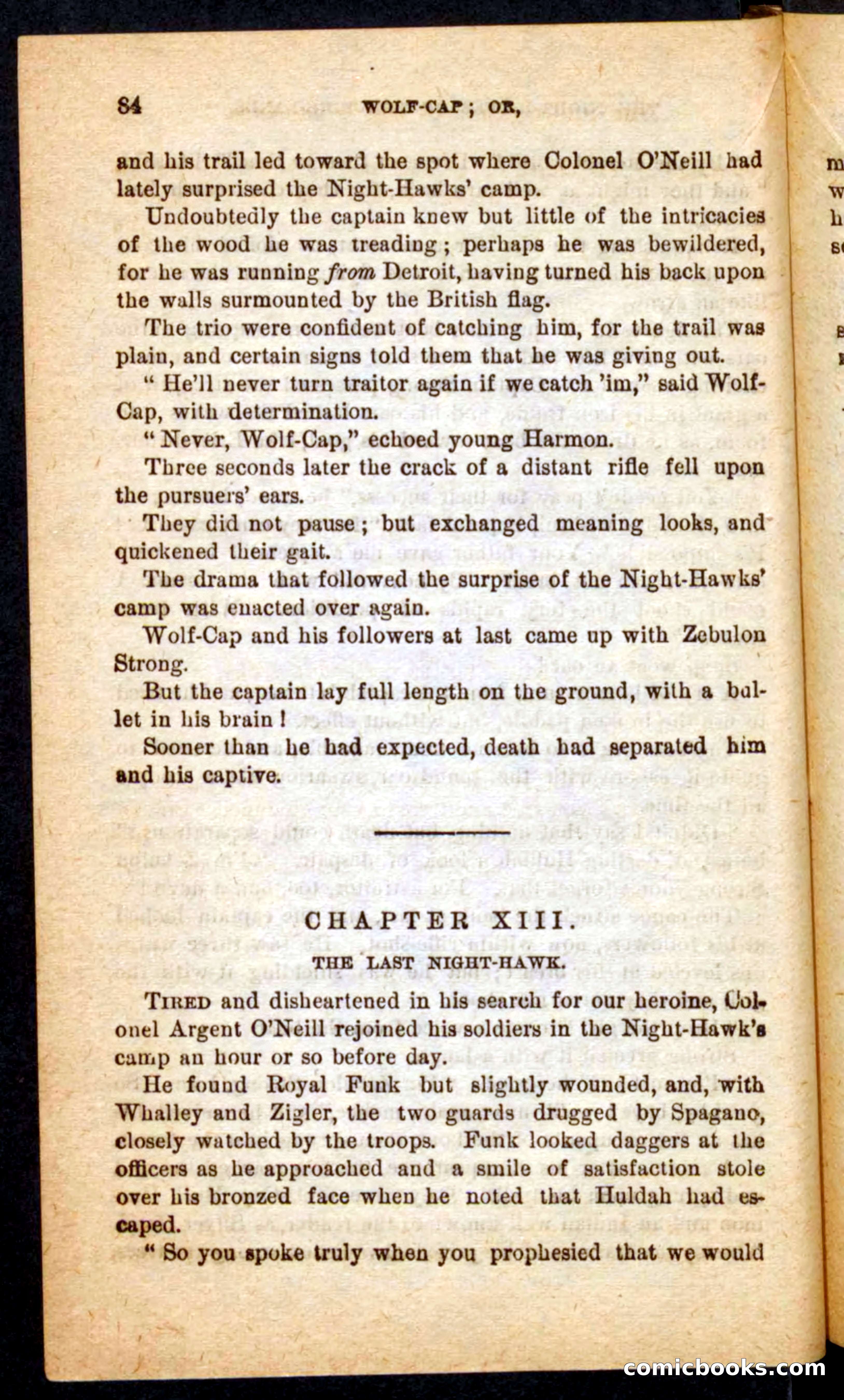 Beadle's Pocket Novels No. 65: Wolf-Cap — page 80 of 100