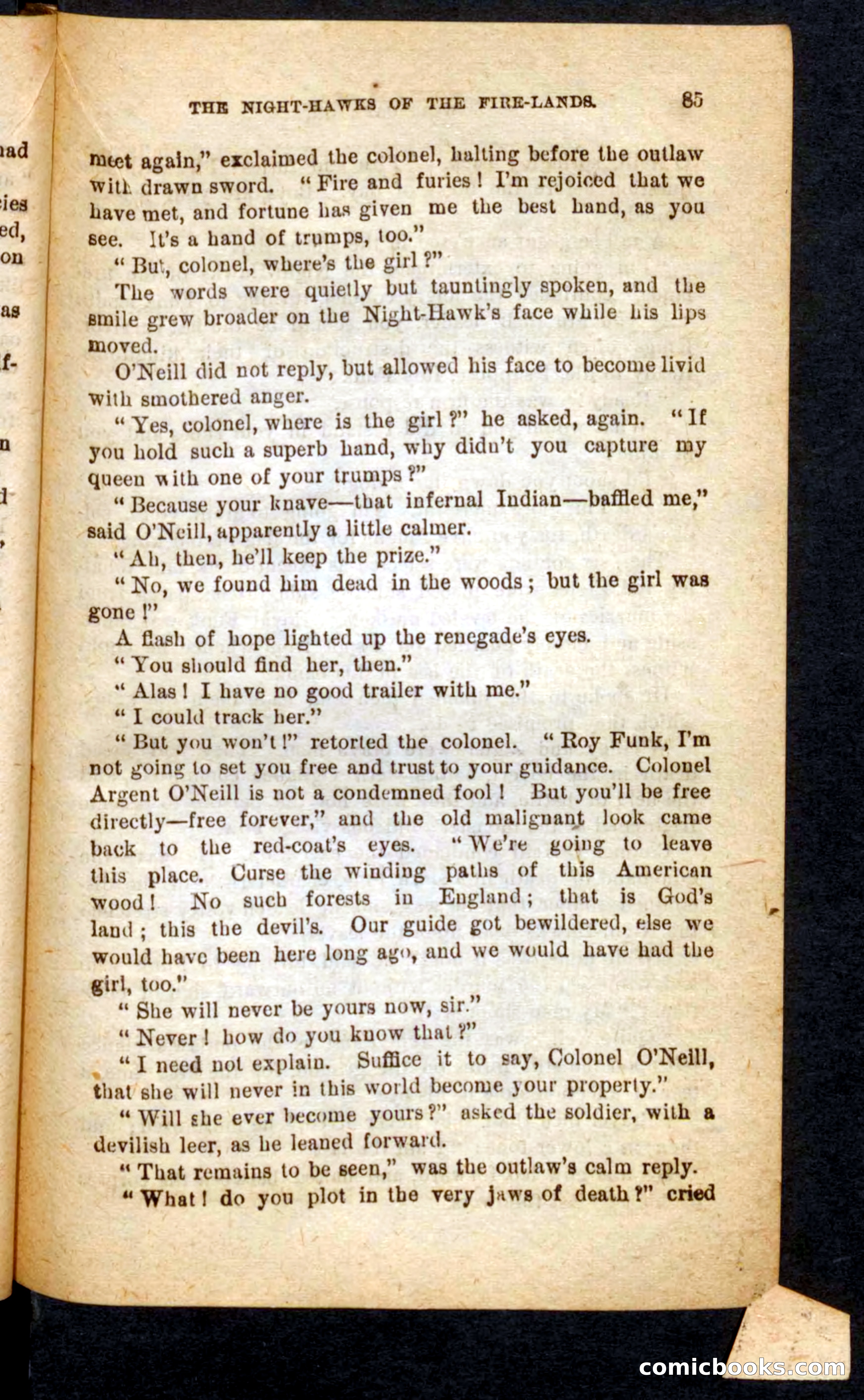 Beadle's Pocket Novels No. 65: Wolf-Cap — page 81 of 100