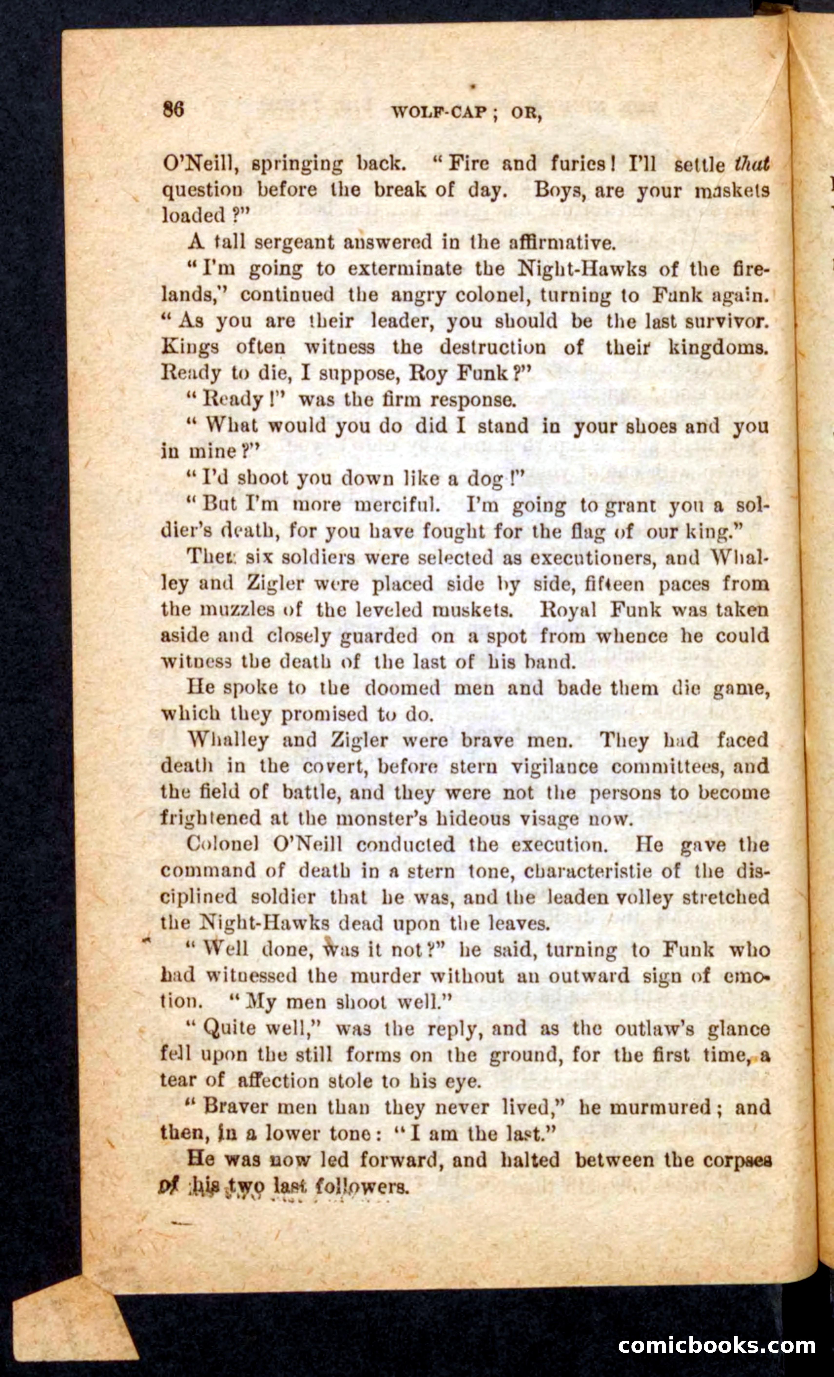 Beadle's Pocket Novels No. 65: Wolf-Cap — page 82 of 100