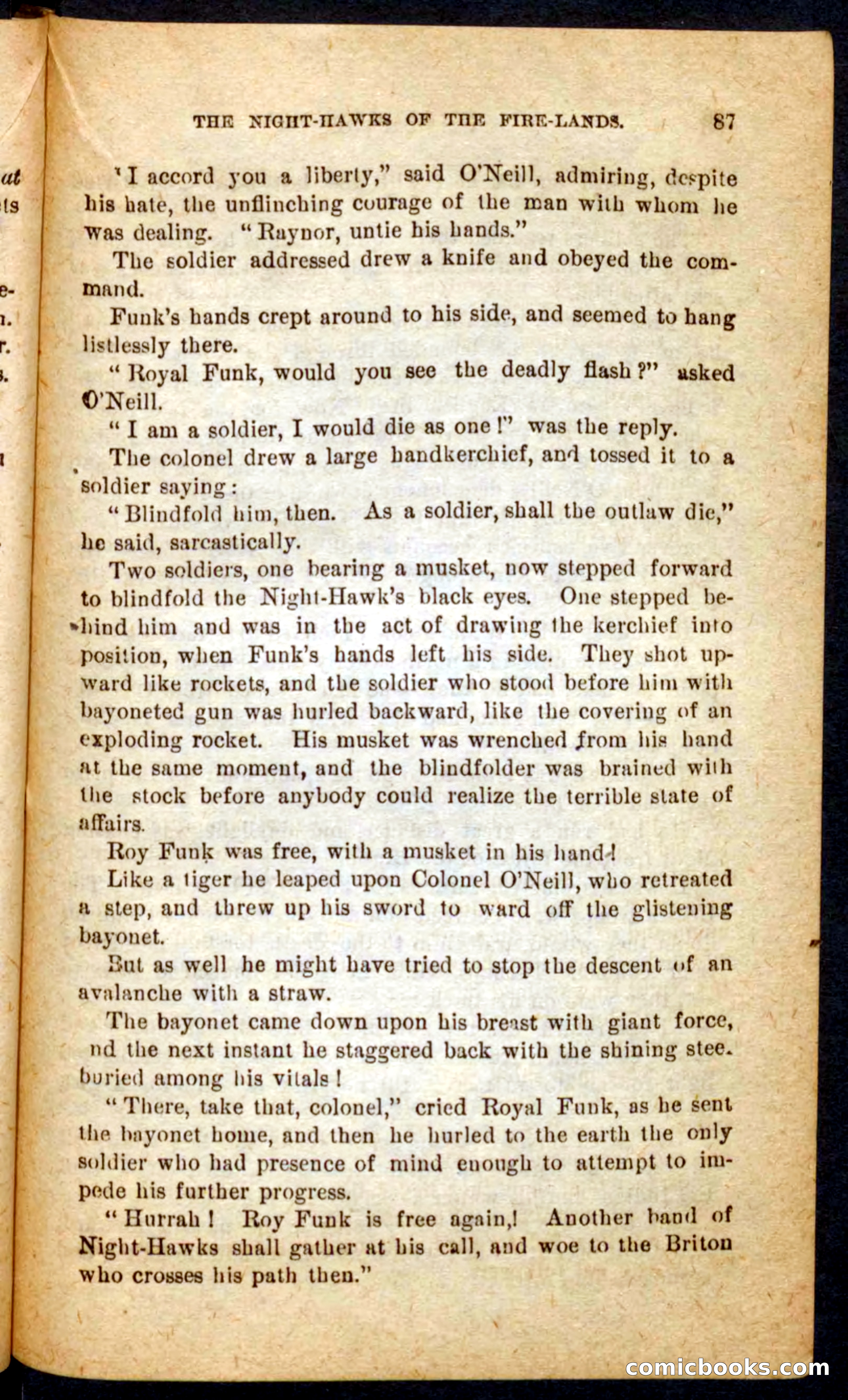 Beadle's Pocket Novels No. 65: Wolf-Cap — page 83 of 100