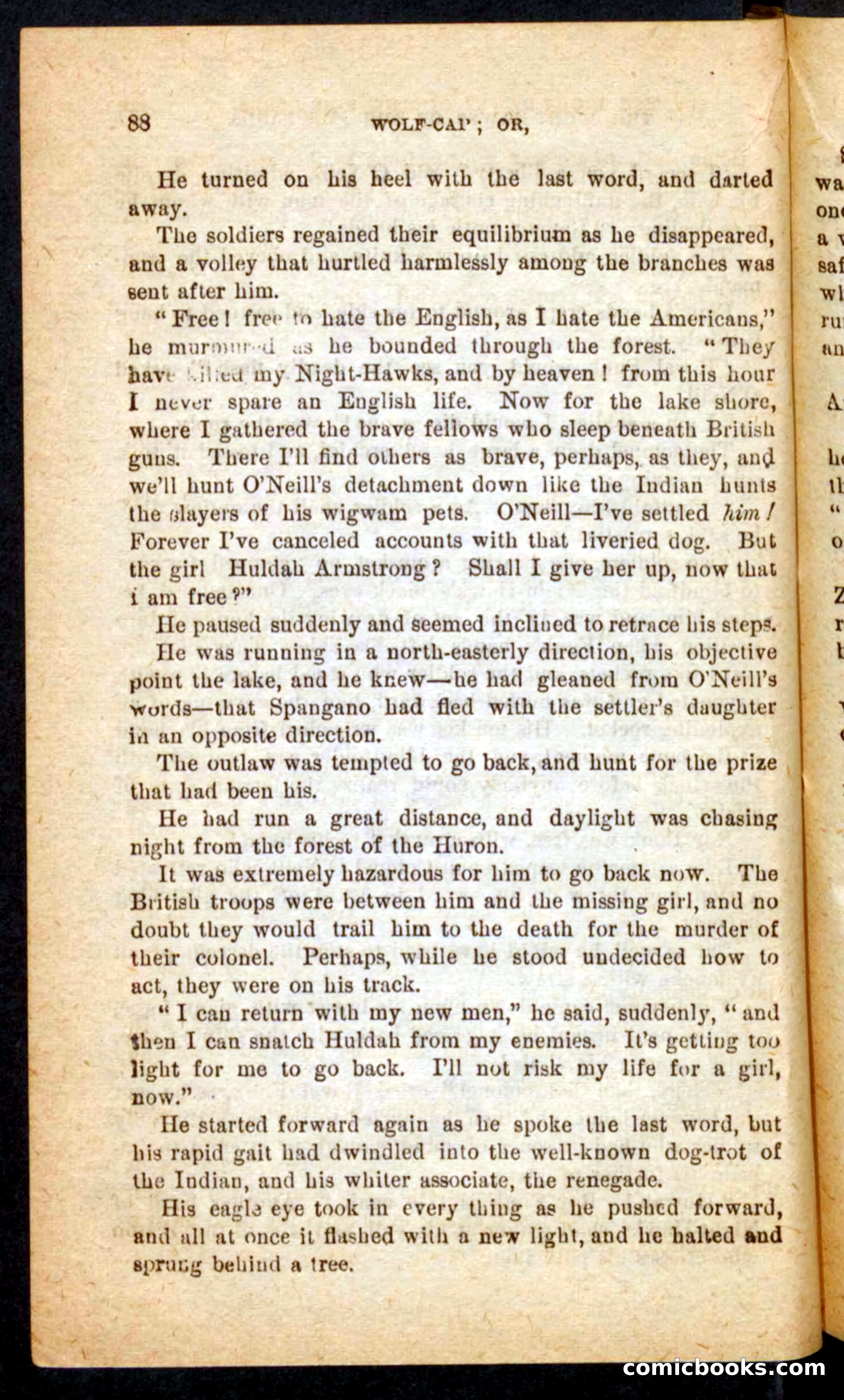 Beadle's Pocket Novels No. 65: Wolf-Cap — page 84 of 100