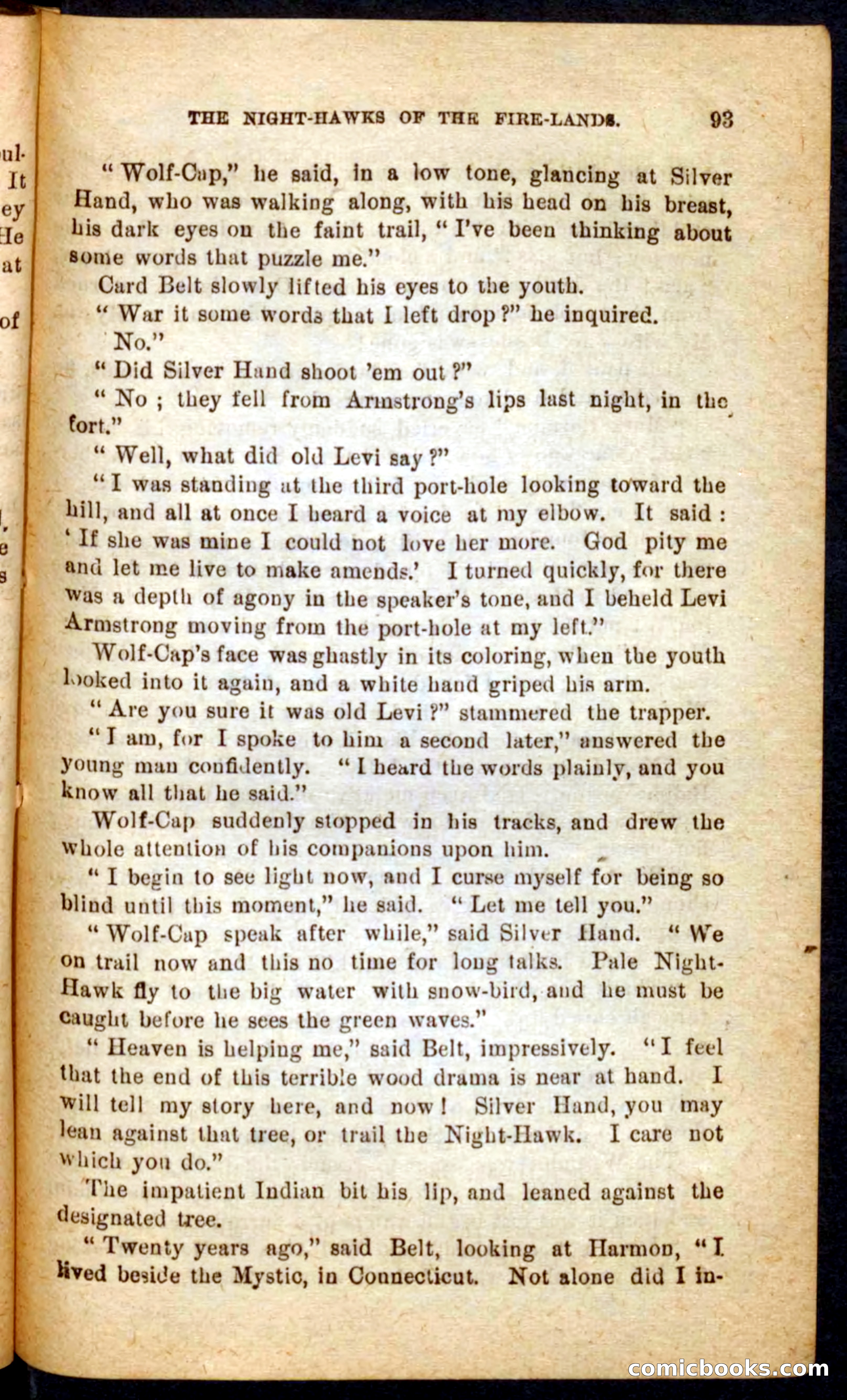 Beadle's Pocket Novels No. 65: Wolf-Cap — page 89 of 100
