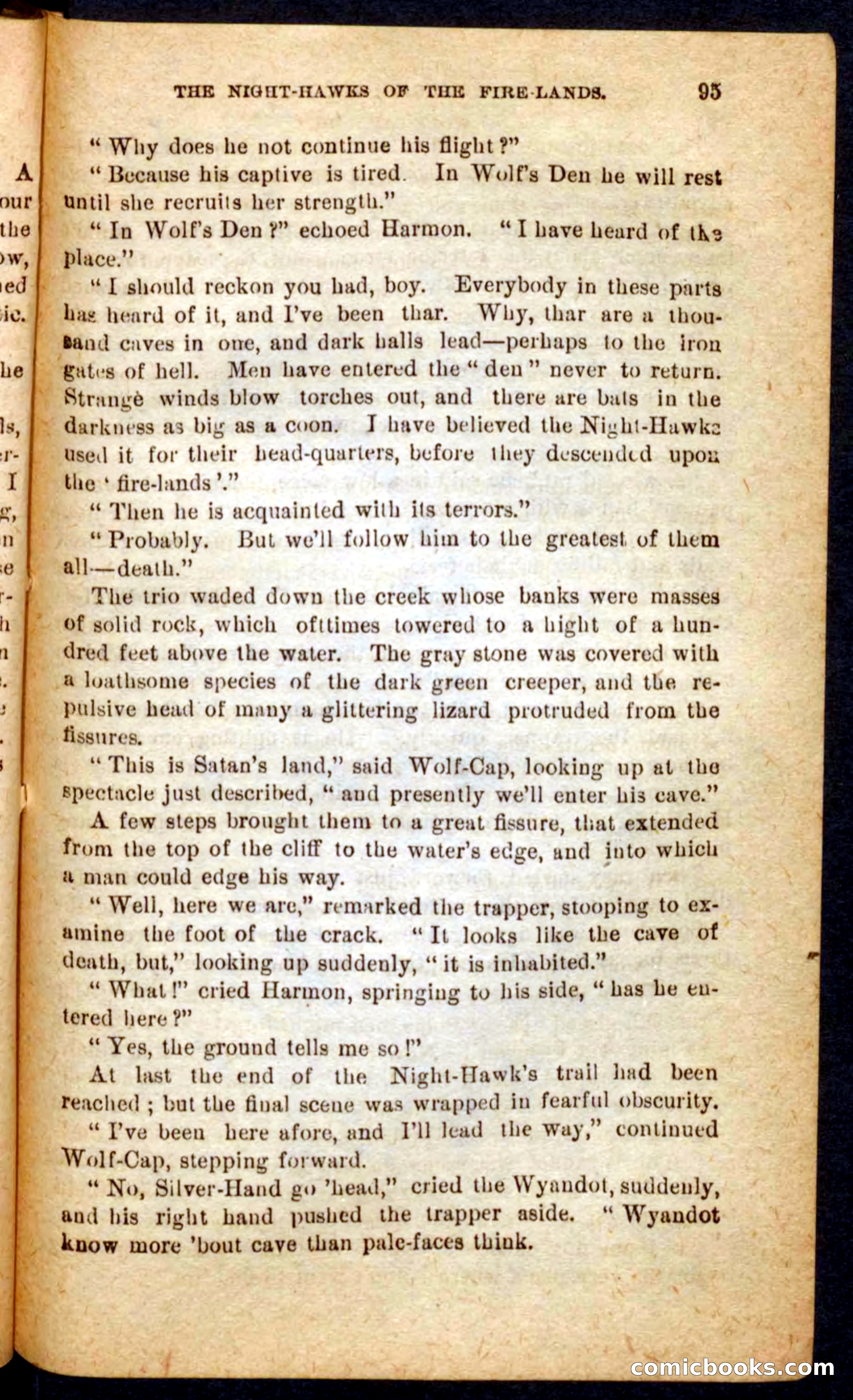 Beadle's Pocket Novels No. 65: Wolf-Cap — page 91 of 100