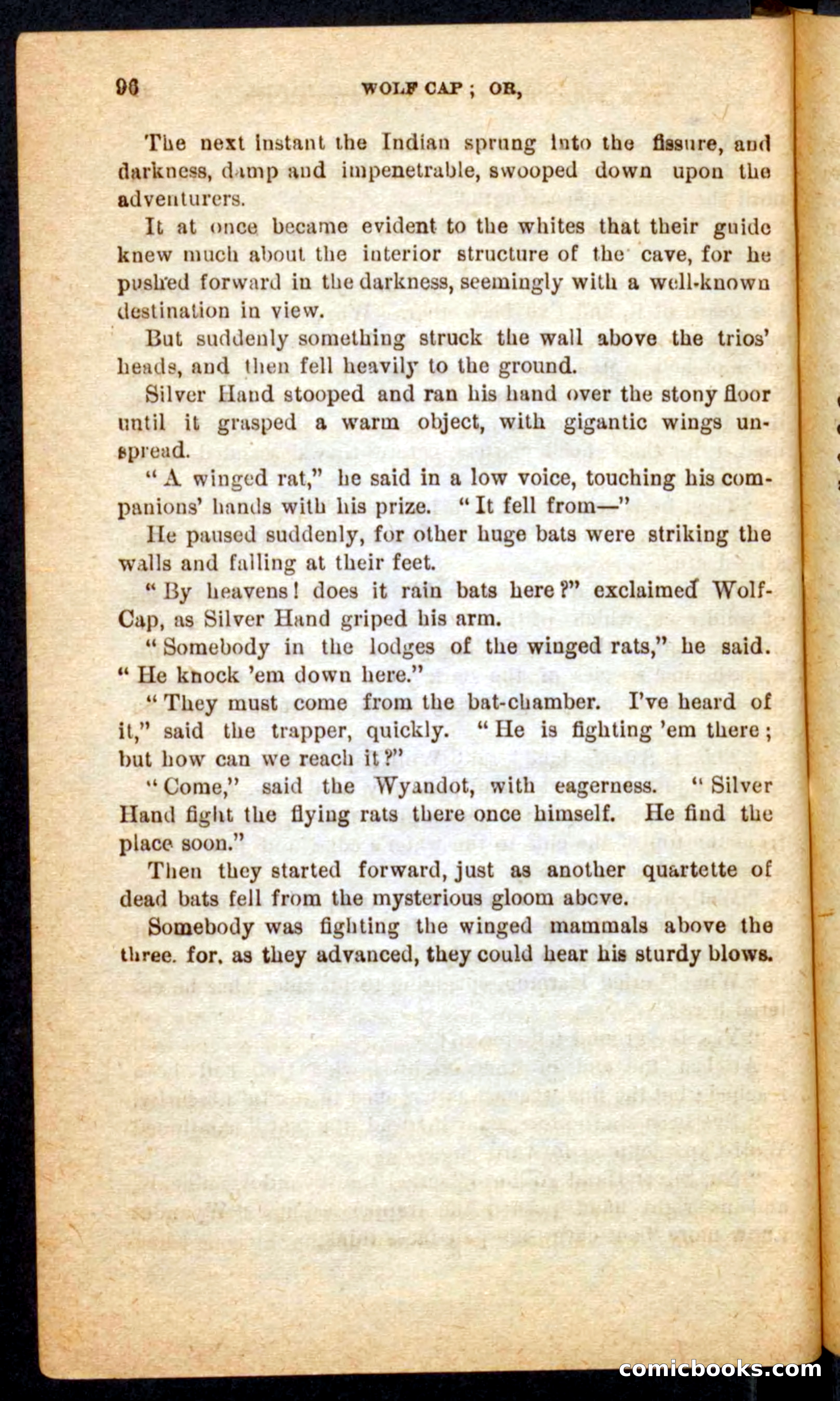 Beadle's Pocket Novels No. 65: Wolf-Cap — page 92 of 100