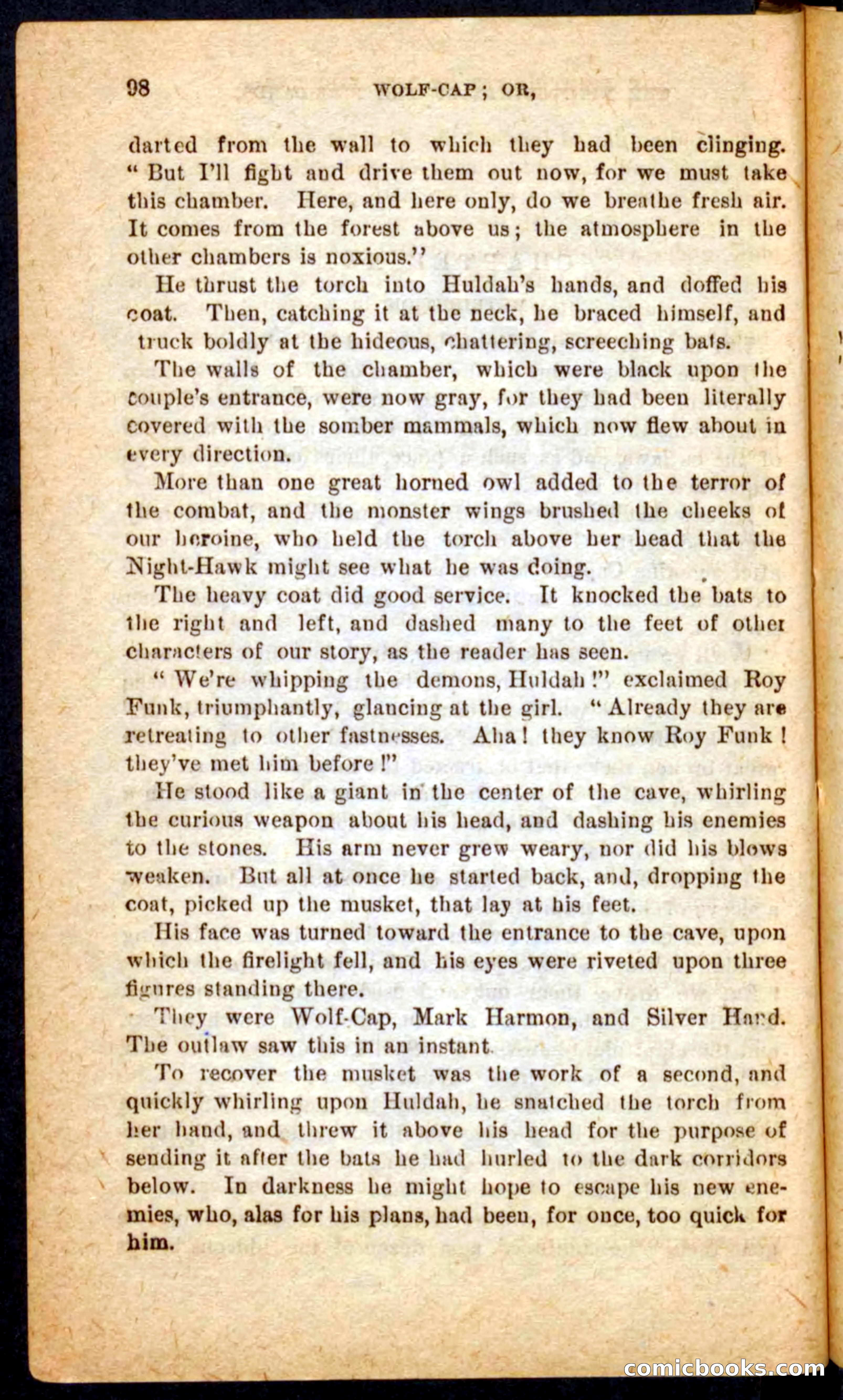 Beadle's Pocket Novels No. 65: Wolf-Cap — page 94 of 100