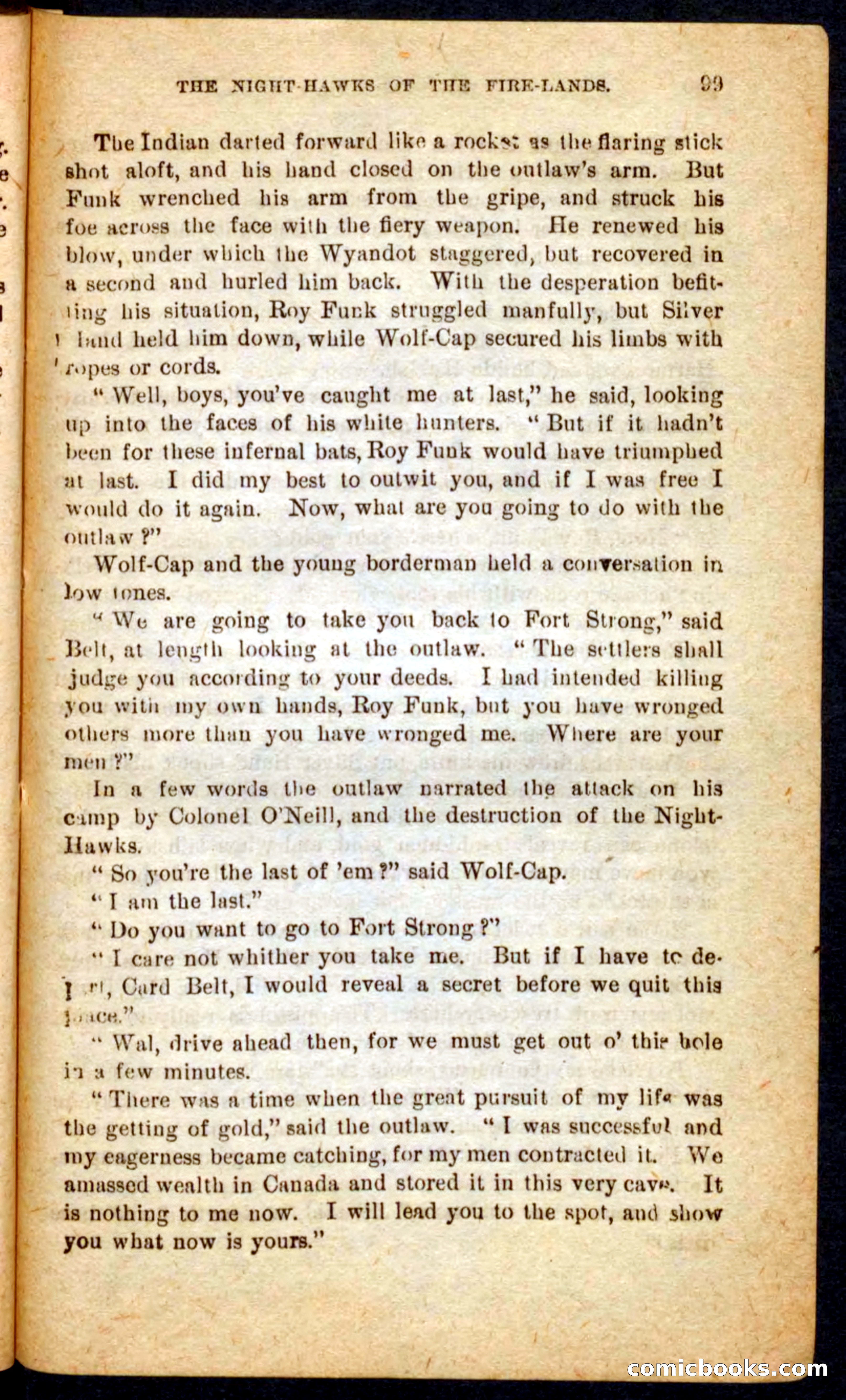 Beadle's Pocket Novels No. 65: Wolf-Cap — page 95 of 100