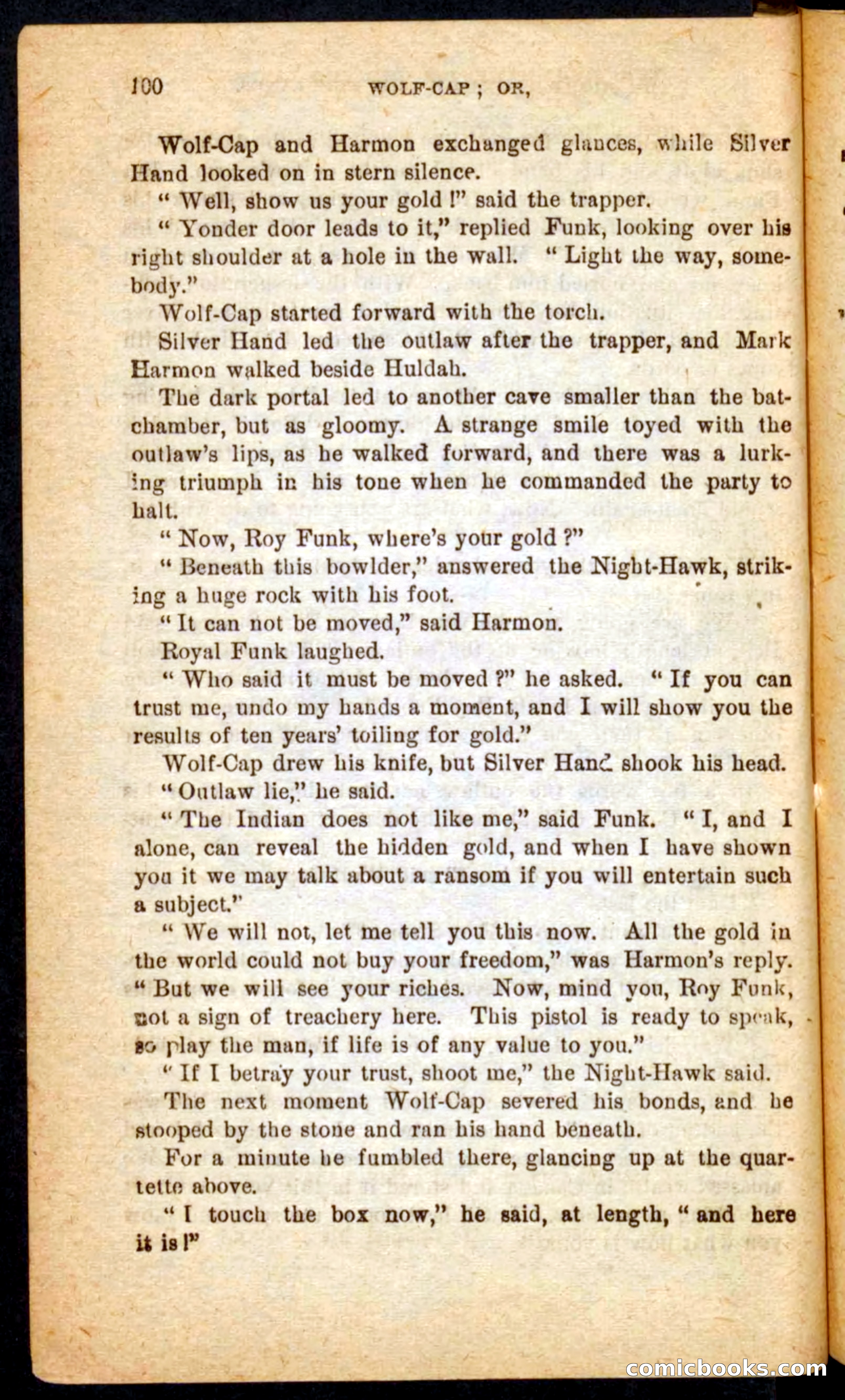 Beadle's Pocket Novels No. 65: Wolf-Cap — page 96 of 100