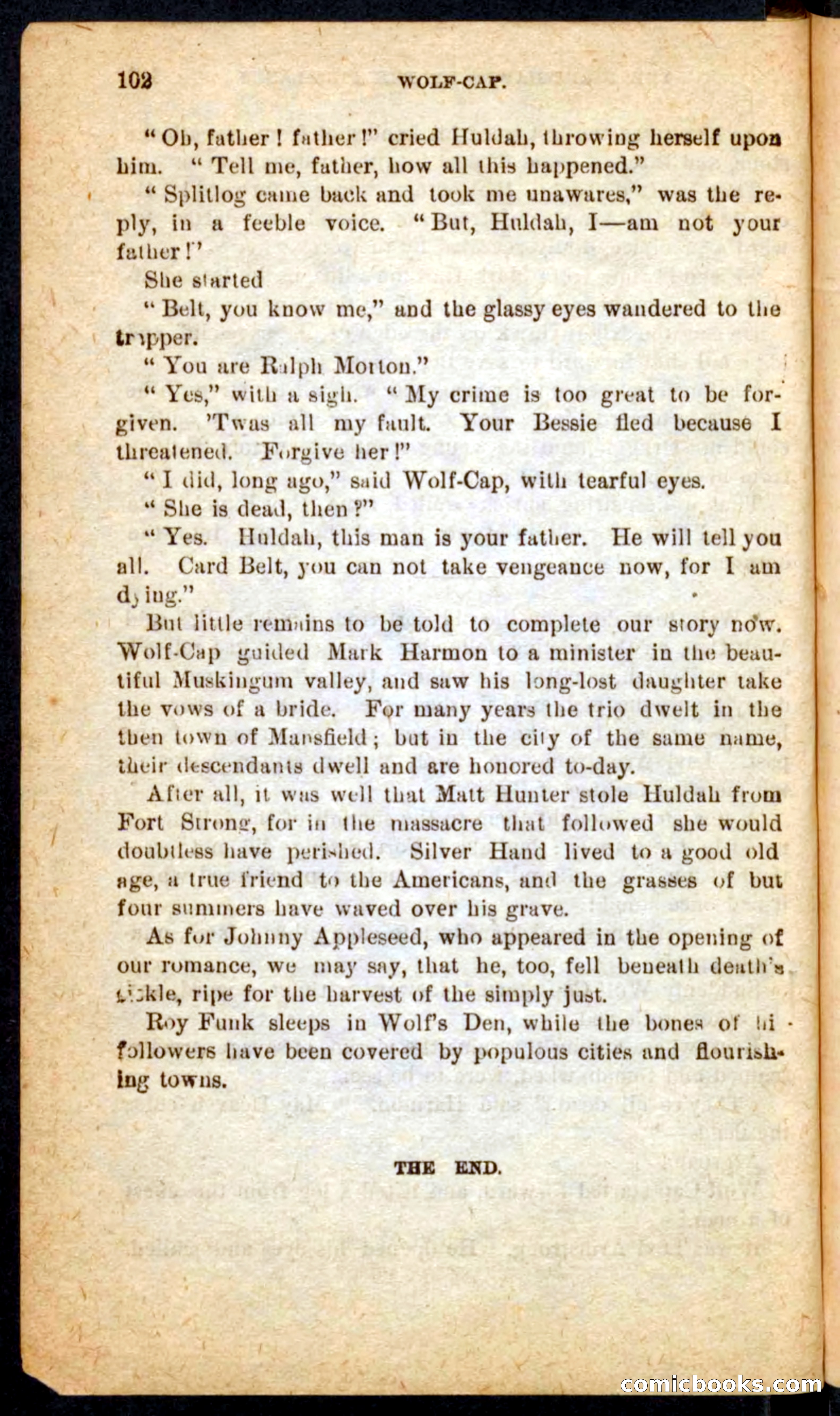 Beadle's Pocket Novels No. 65: Wolf-Cap — page 98 of 100
