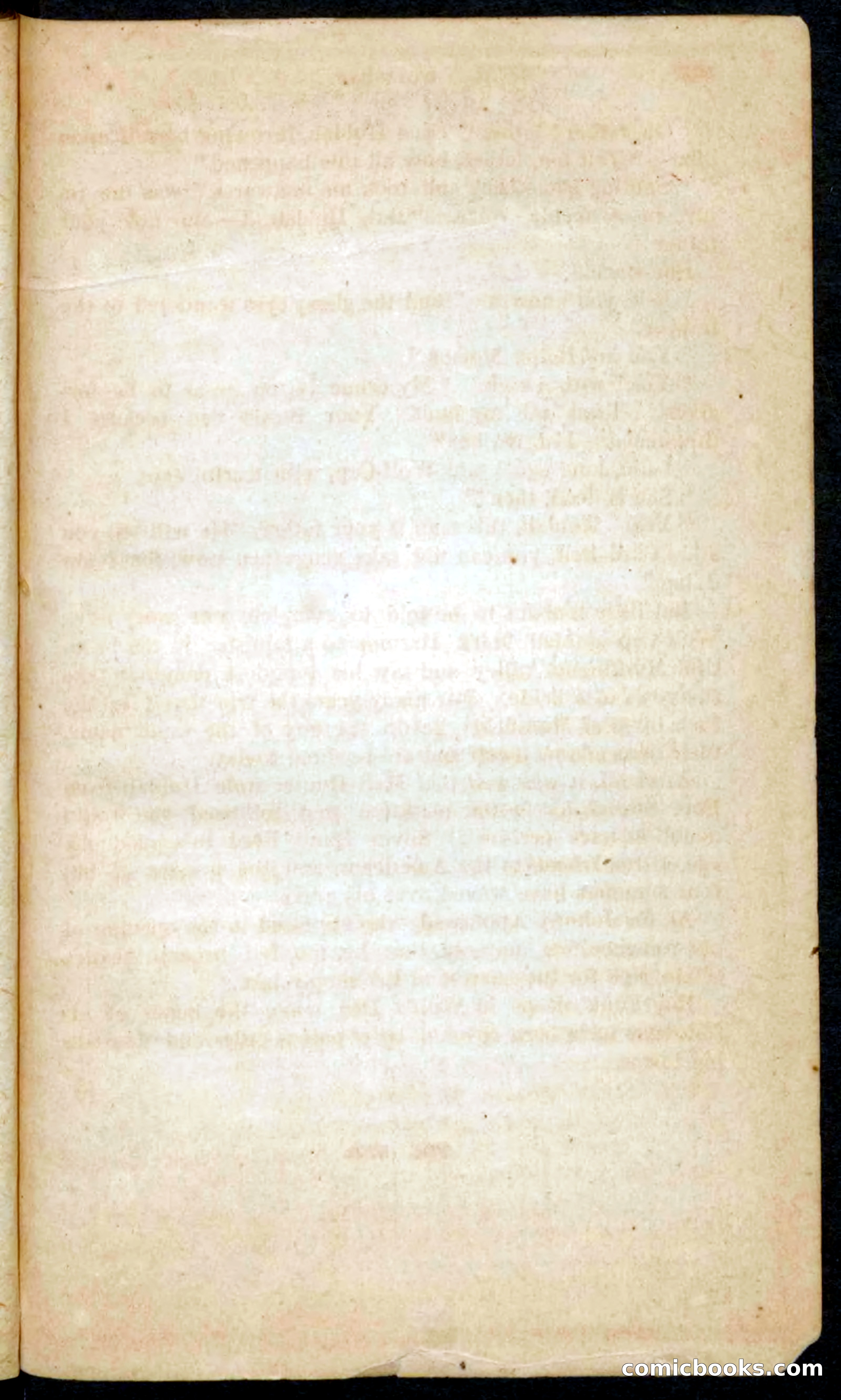 Beadle's Pocket Novels No. 65: Wolf-Cap — page 99 of 100