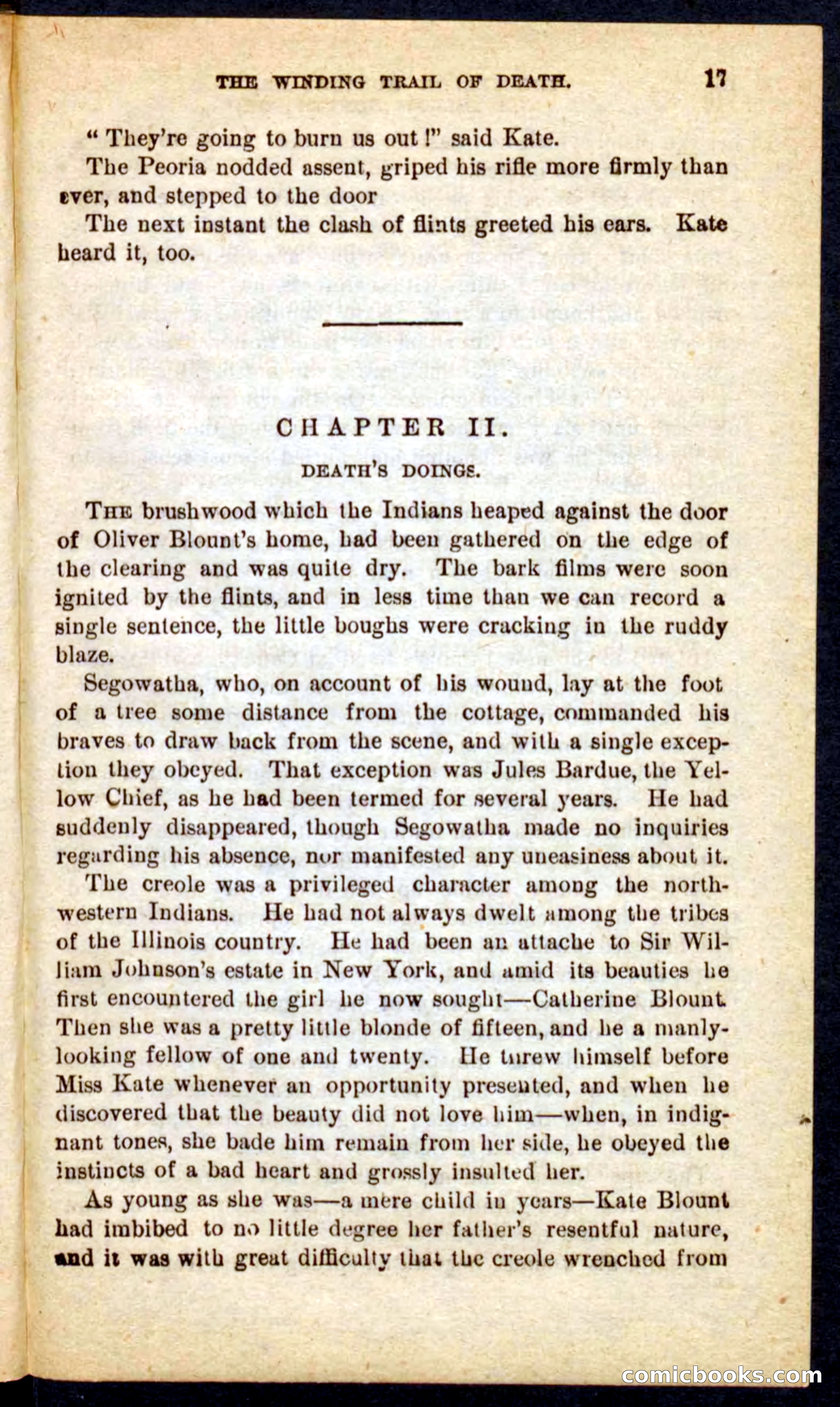 Beadle's Pocket Novels No. 69: The Yellow Hunter — page 13 of 100