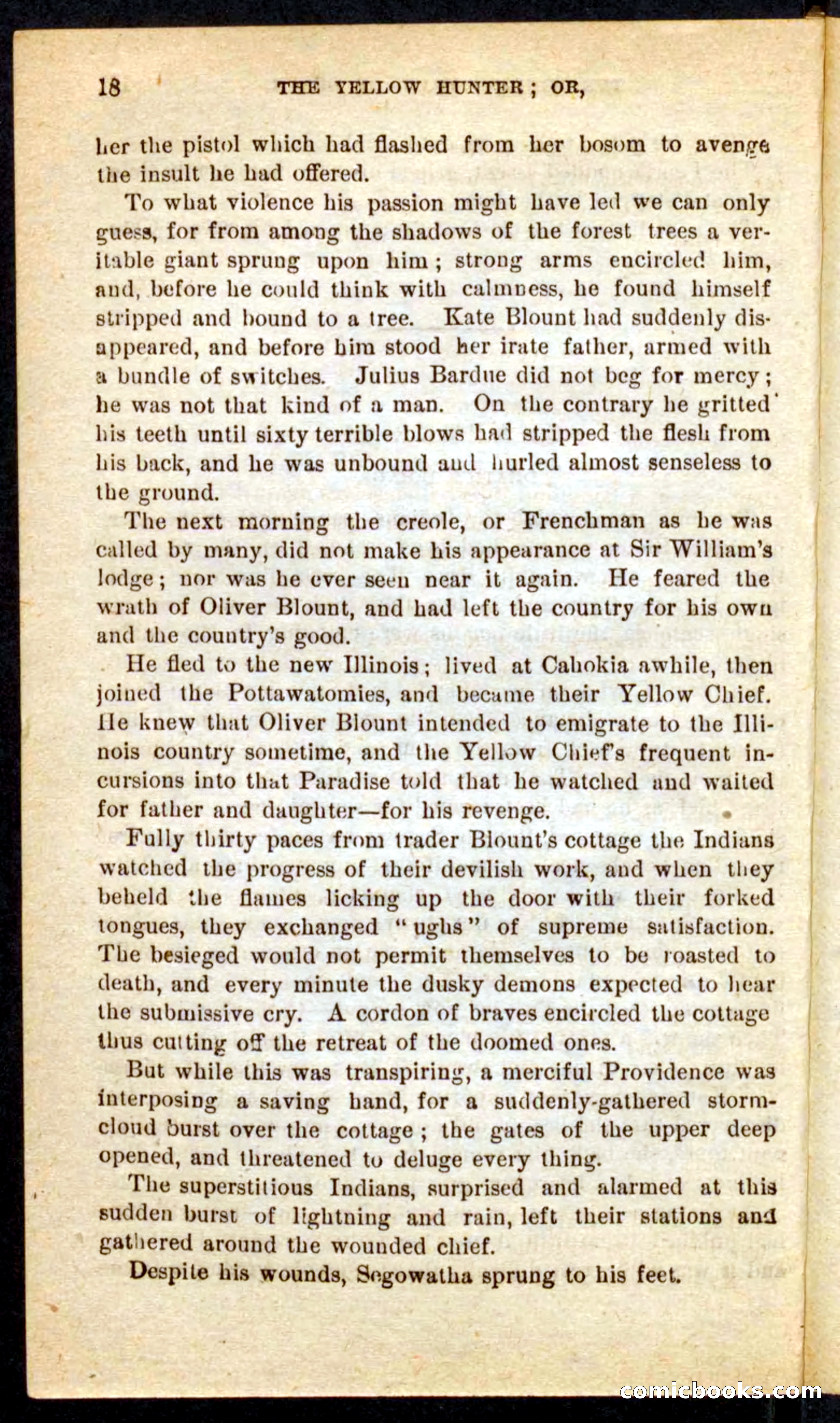 Beadle's Pocket Novels No. 69: The Yellow Hunter — page 14 of 100