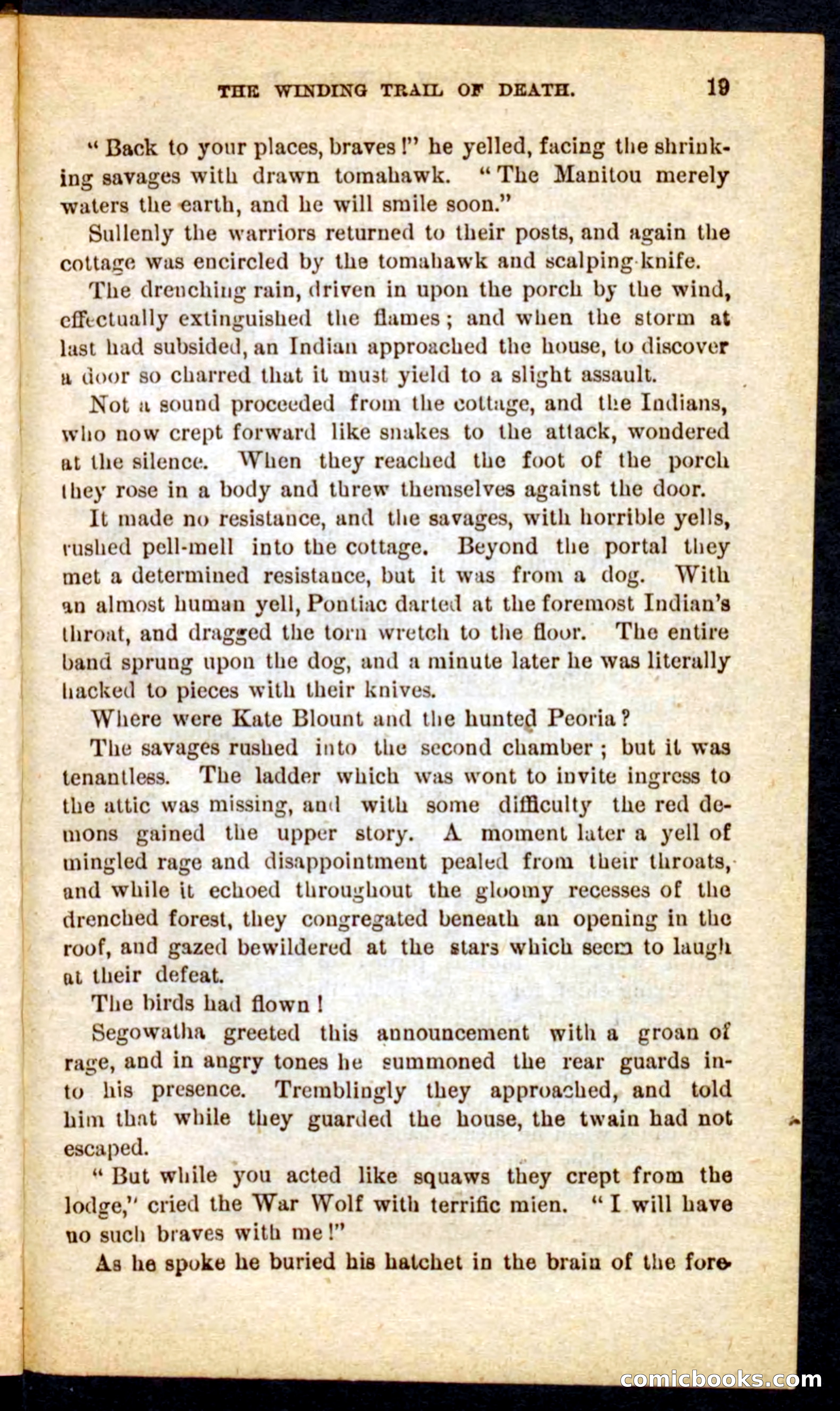 Beadle's Pocket Novels No. 69: The Yellow Hunter — page 15 of 100