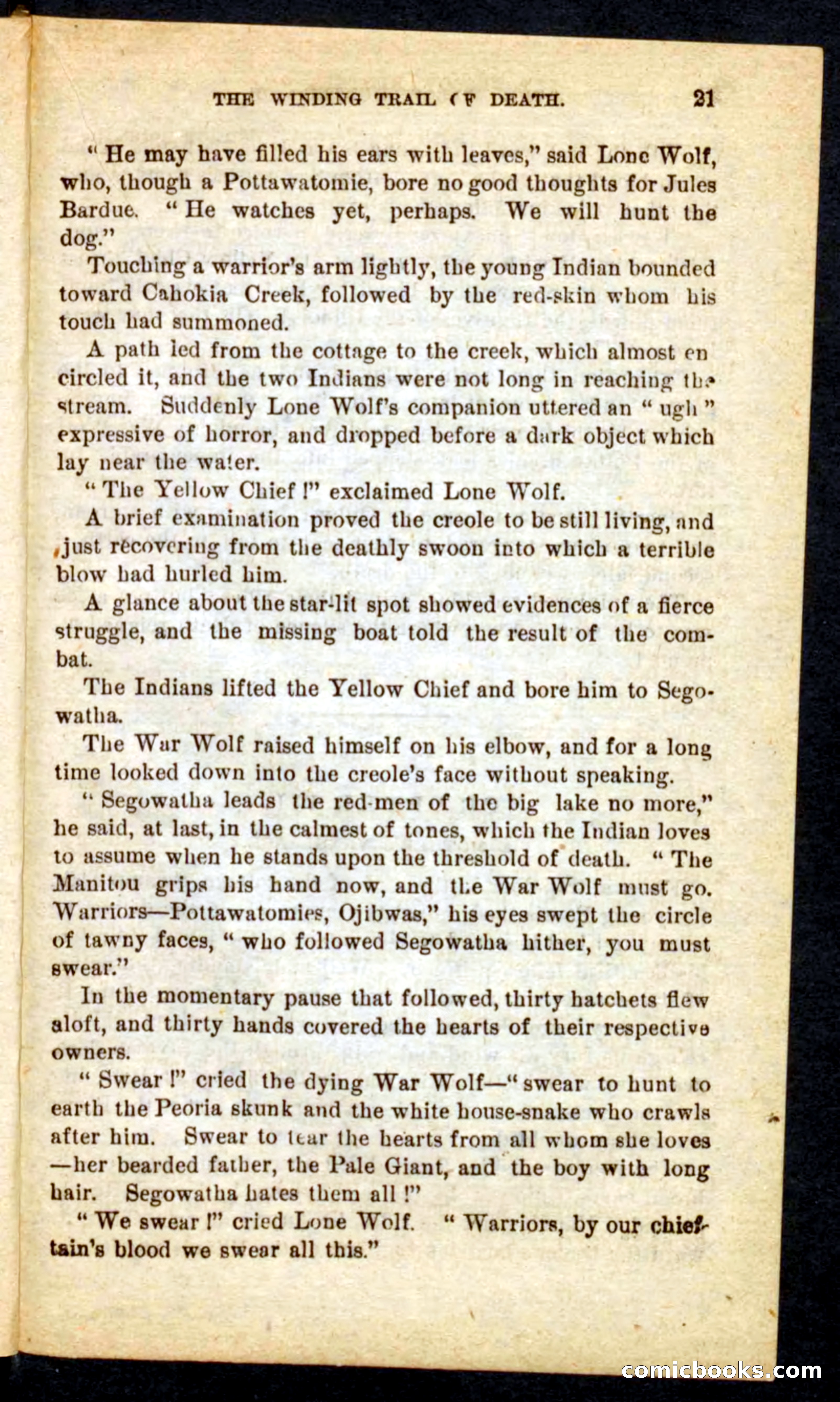 Beadle's Pocket Novels No. 69: The Yellow Hunter — page 17 of 100
