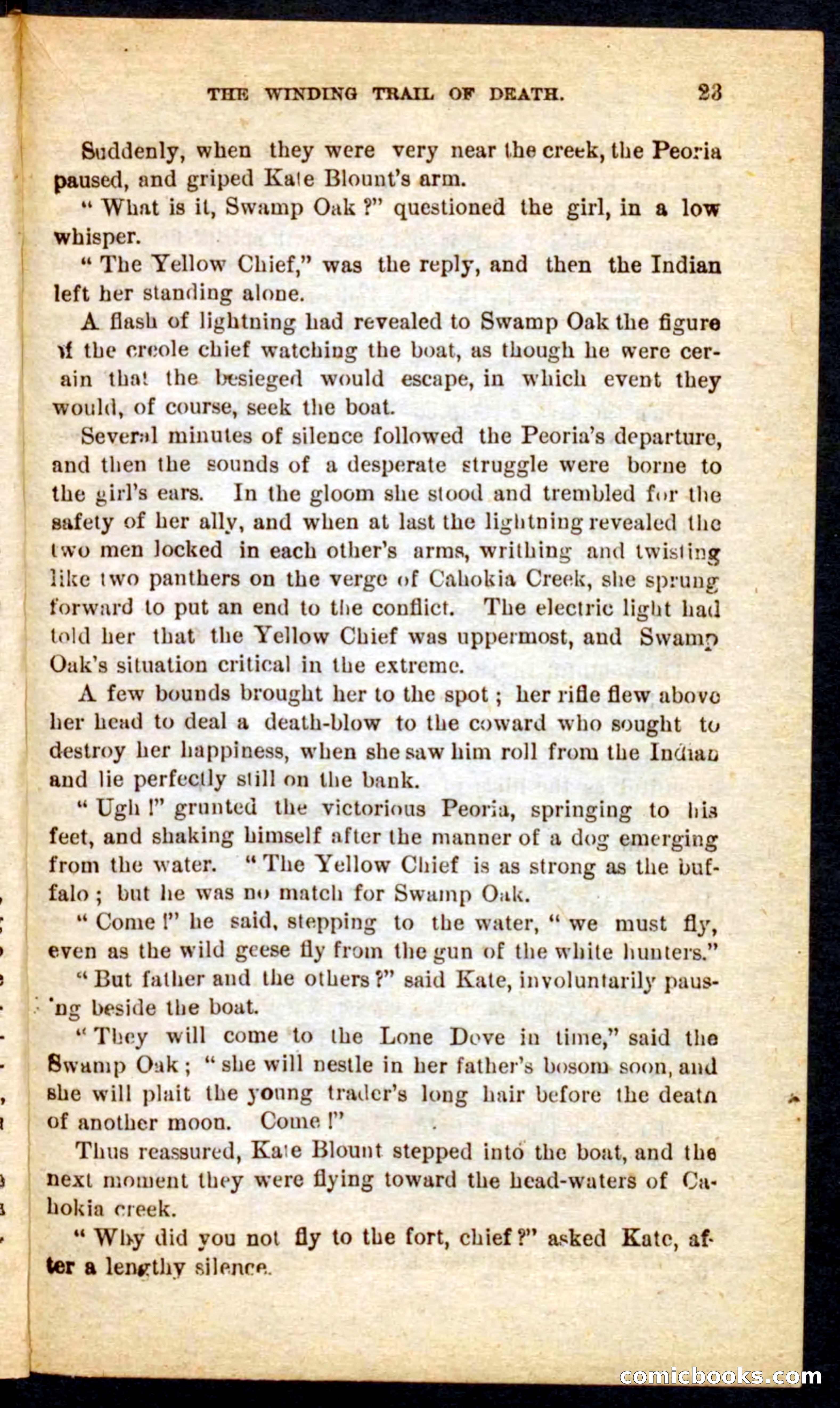 Beadle's Pocket Novels No. 69: The Yellow Hunter — page 19 of 100