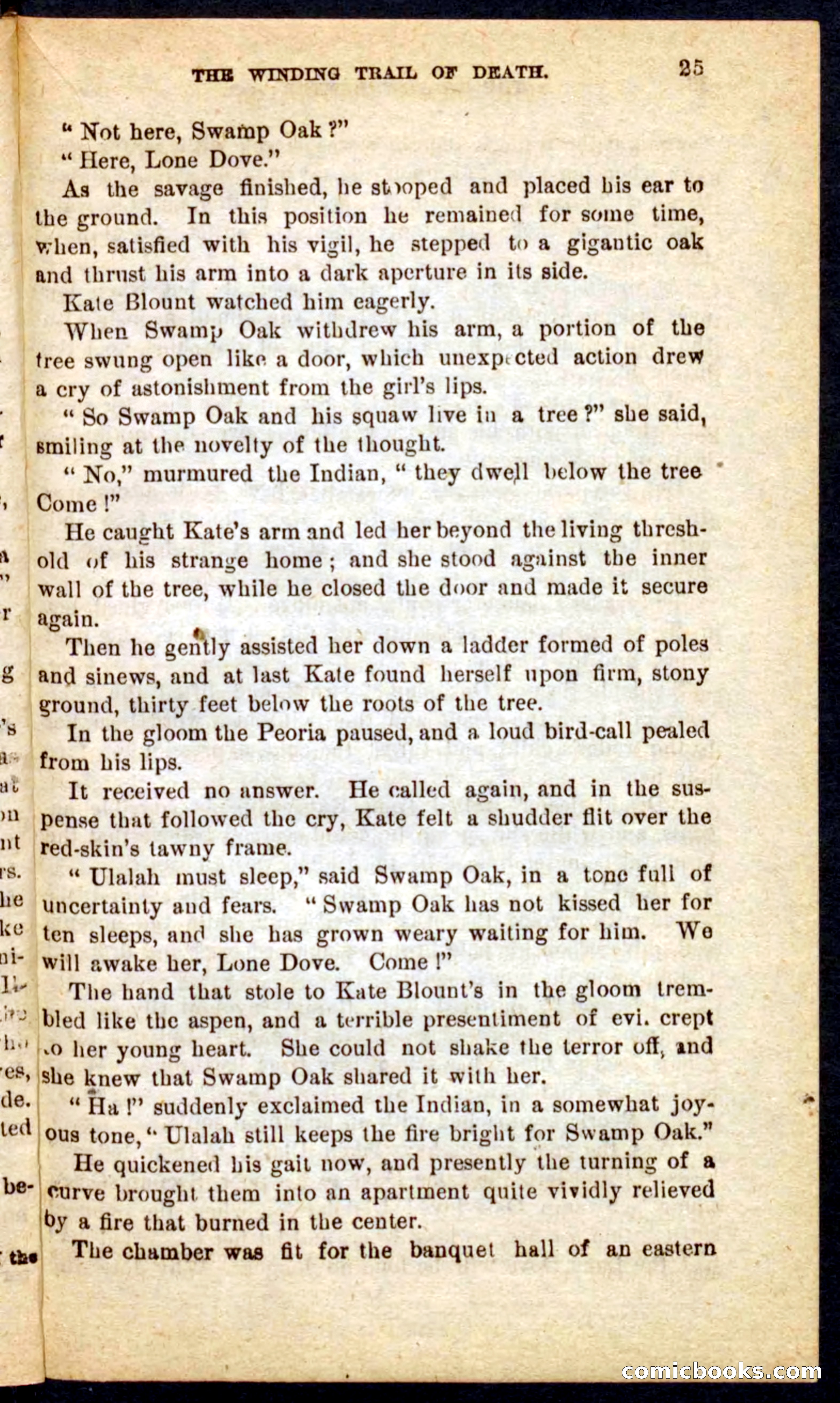 Beadle's Pocket Novels No. 69: The Yellow Hunter — page 21 of 100