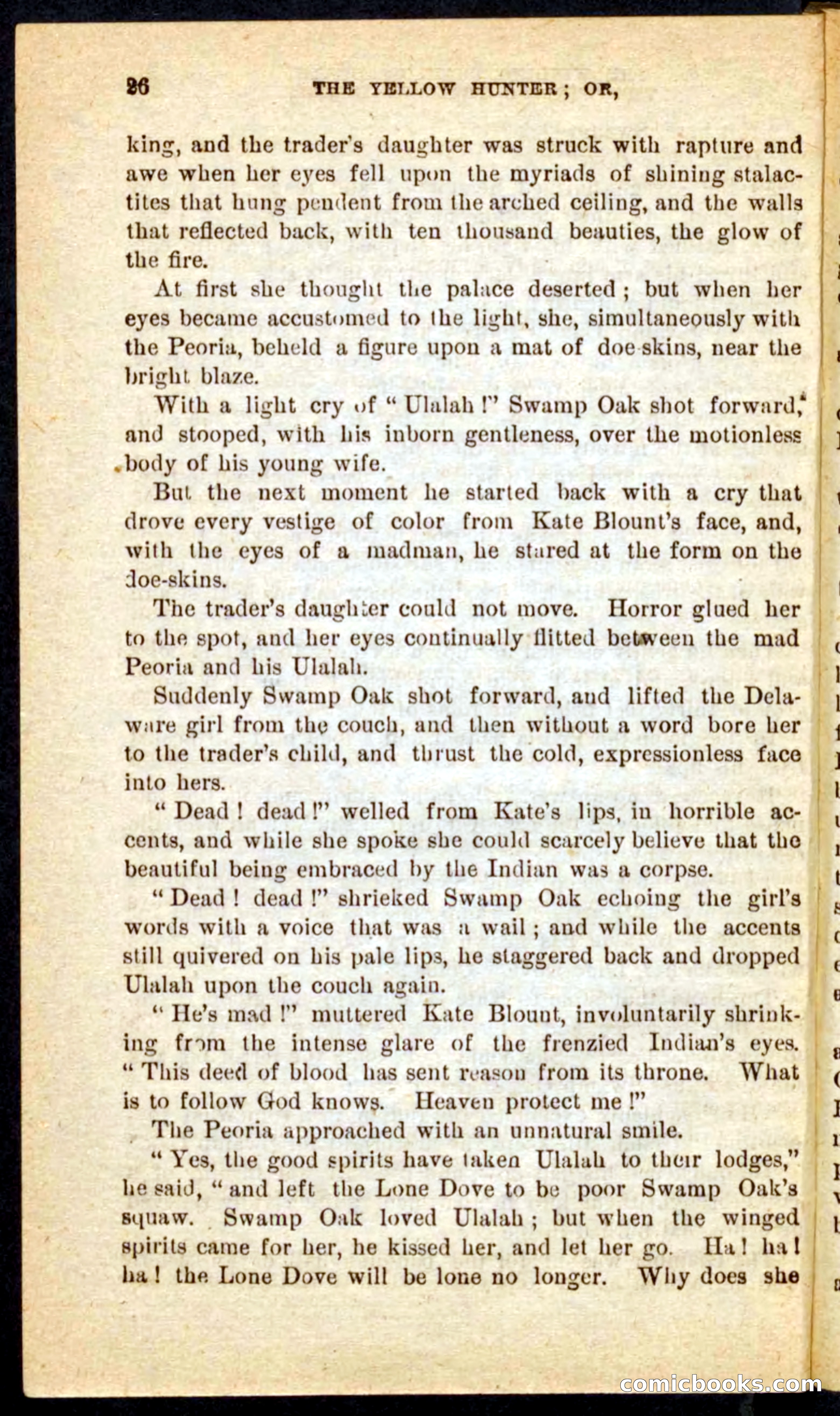 Beadle's Pocket Novels No. 69: The Yellow Hunter — page 22 of 100