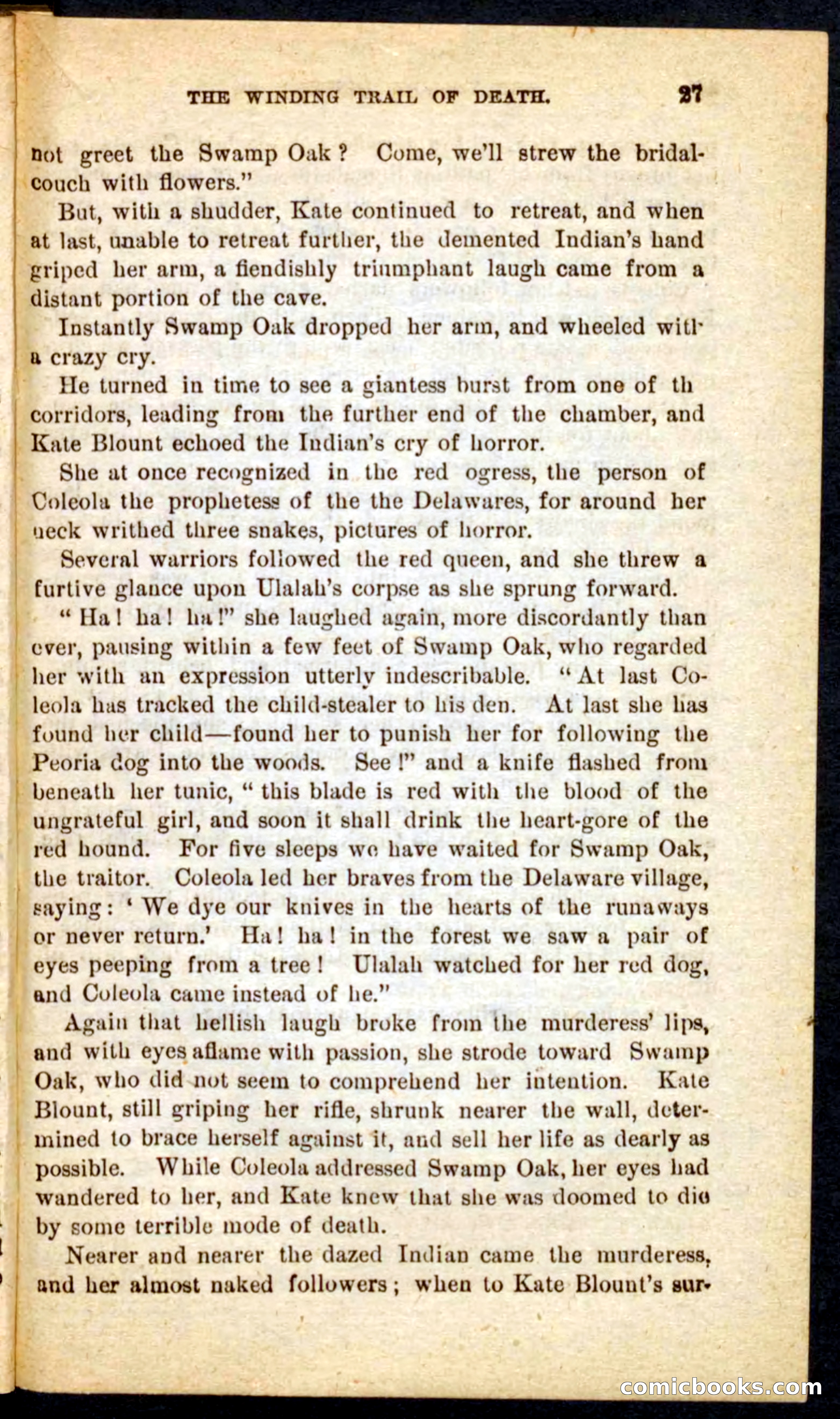 Beadle's Pocket Novels No. 69: The Yellow Hunter — page 23 of 100